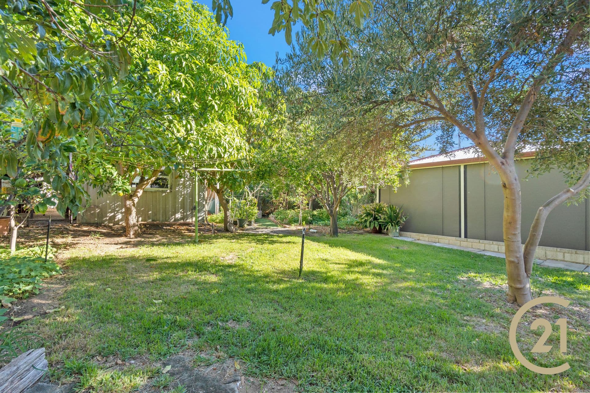 25 Park Road, Mandurah, WA, 6210, Mandurah - Thumbnail 3