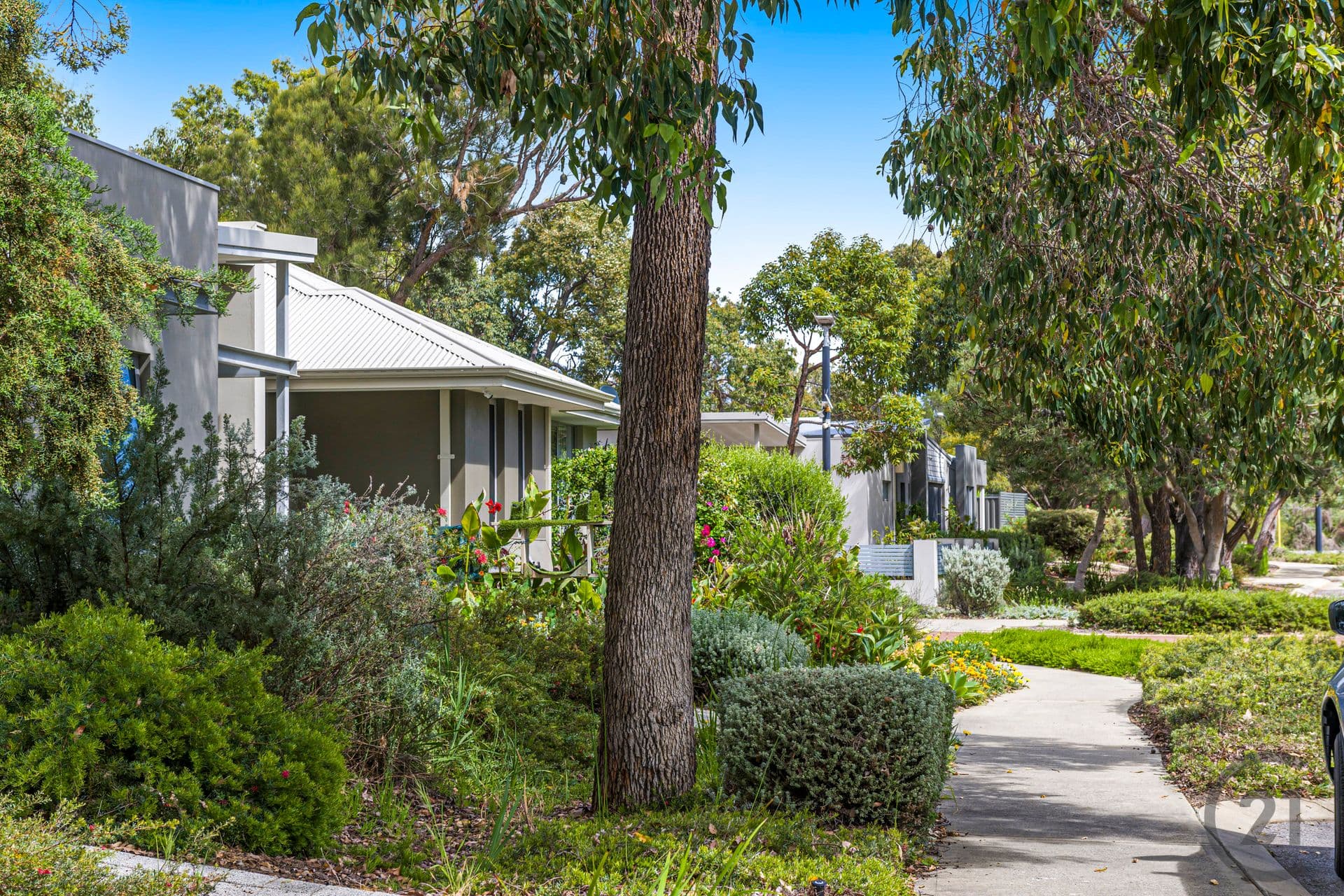 54 Whimbrel Crescent, Coodanup, WA, 6210, Coodanup - Thumbnail 2
