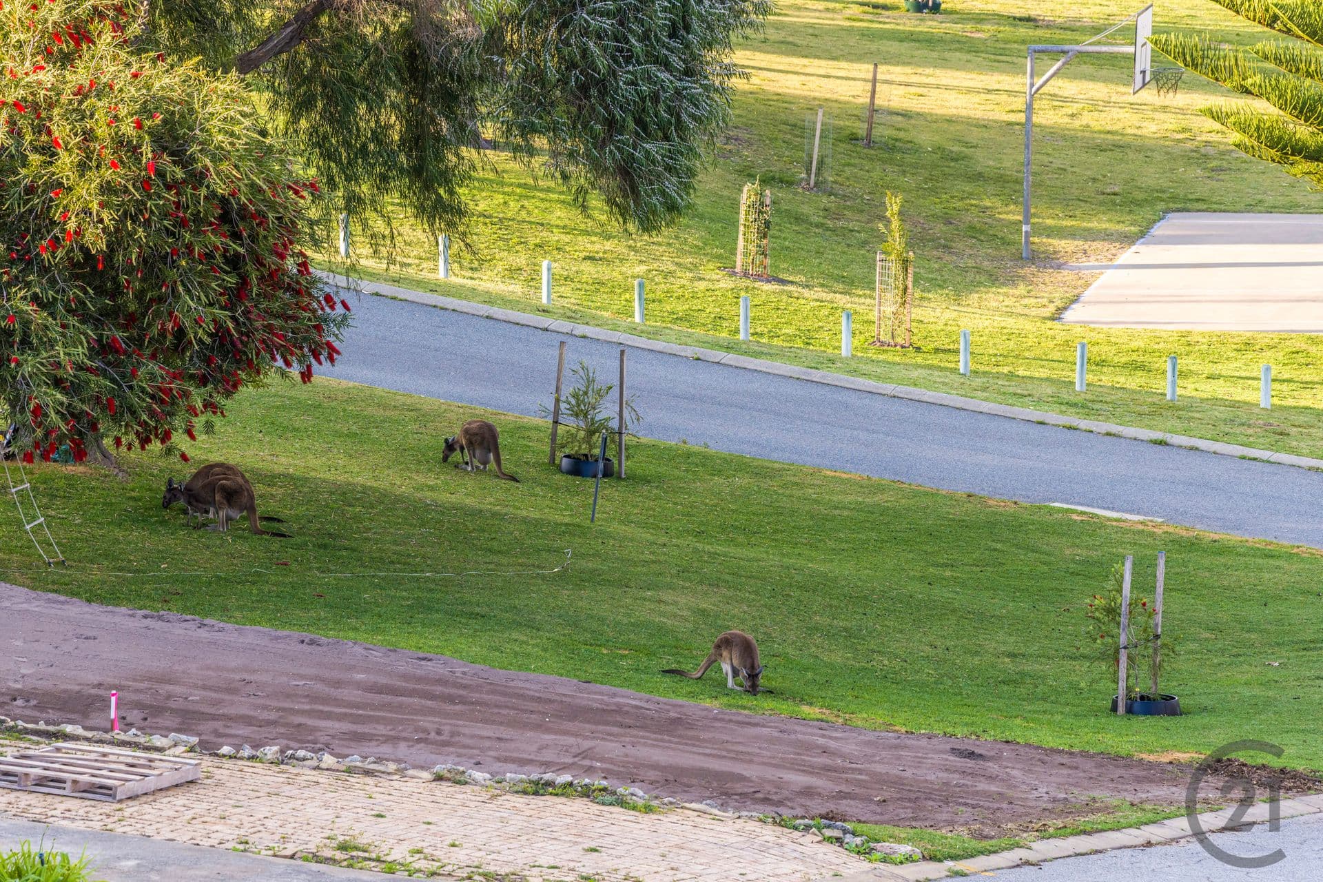 28 Bayview Crescent, Dawesville, WA, 6211, Dawesville - Thumbnail 8