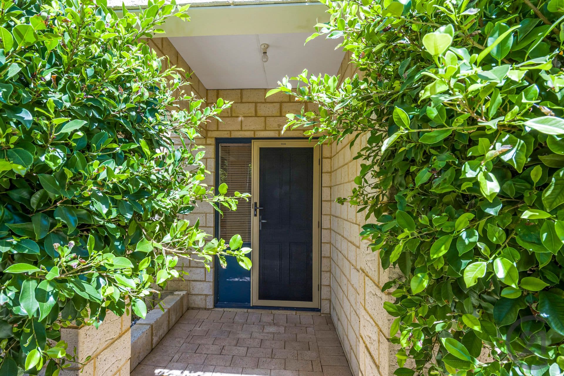 83 Leslie Street, Dudley Park, WA, 6210, Dudley Park - Thumbnail 5
