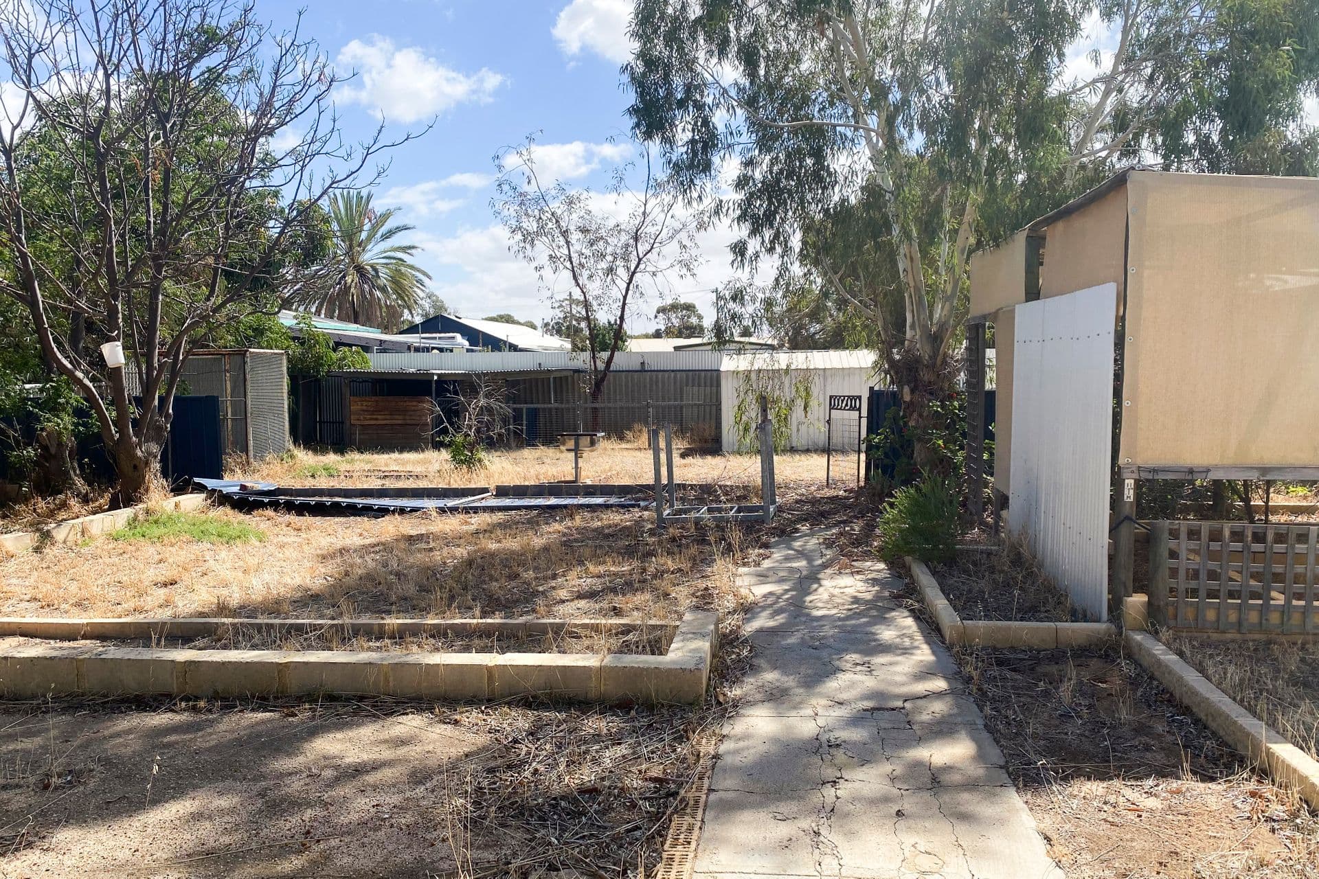 4 Gamenya Avenue, Merredin, WA, 6415, Merredin - Thumbnail 6