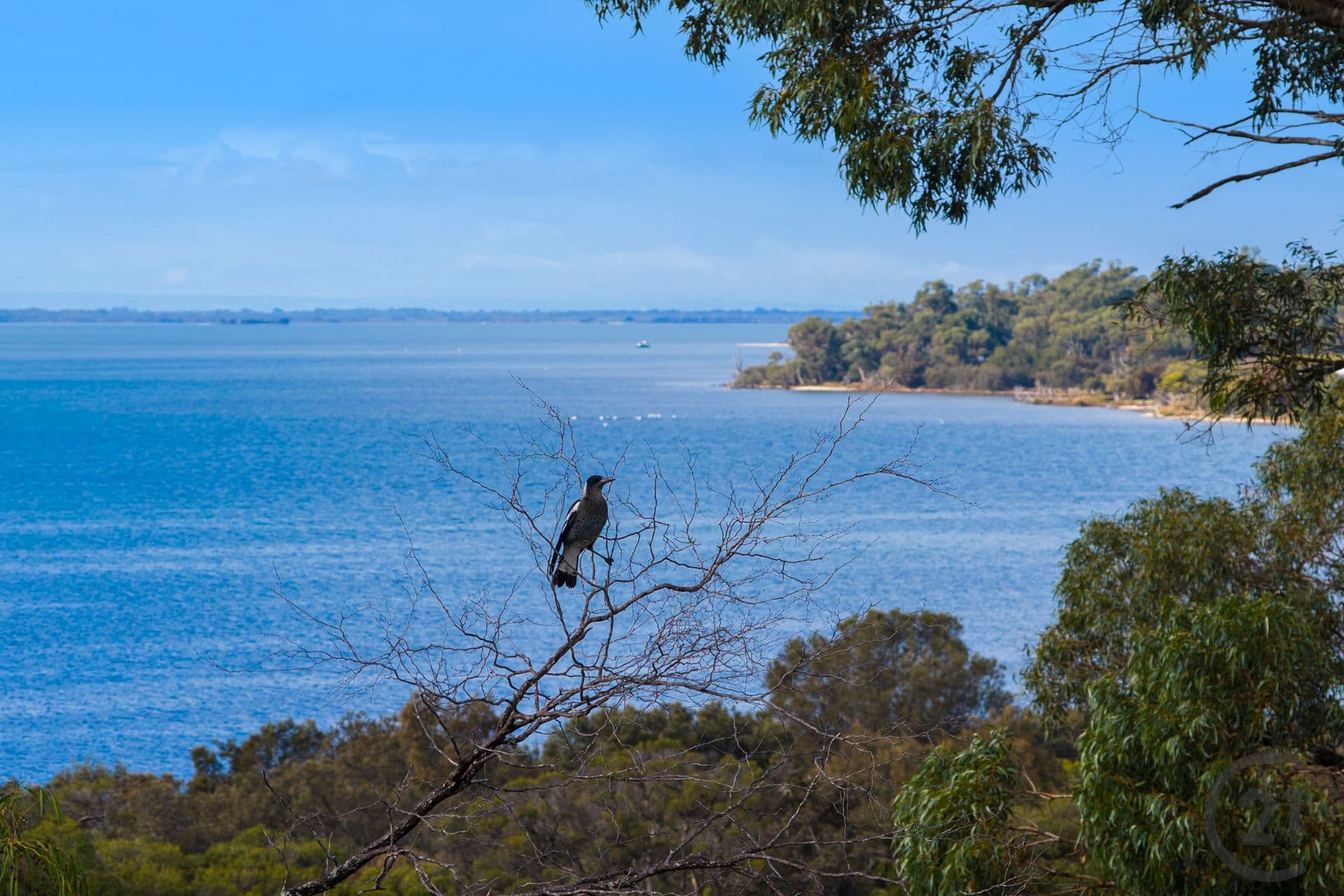 4 Park Ridge Drive, Bouvard, WA, 6211, Bouvard - Thumbnail 4