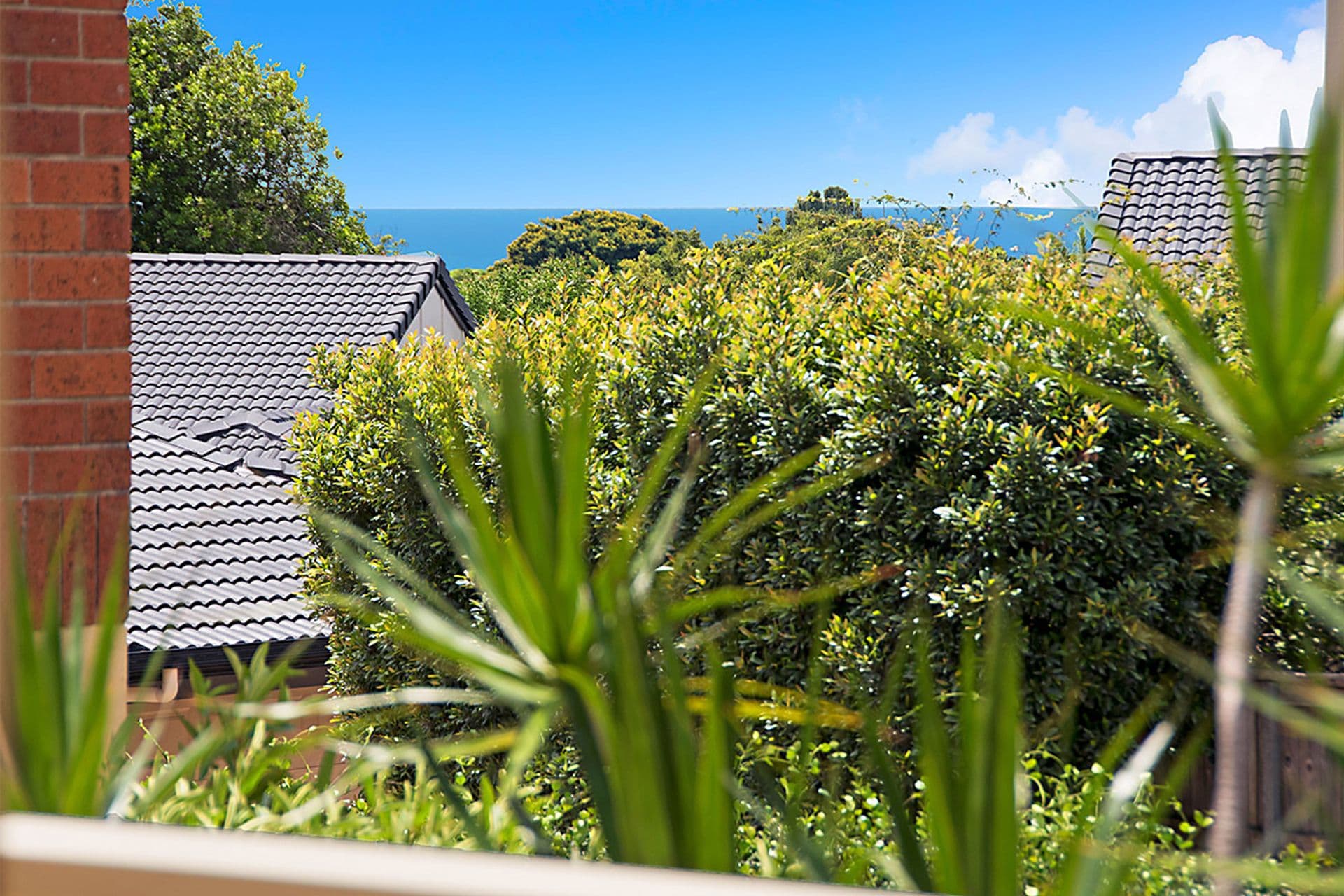 9/17 King Street, Buderim, QLD, 4556, Buderim - Thumbnail 4