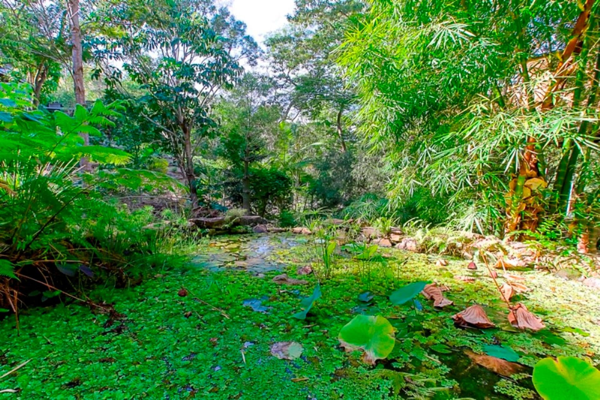 12/10 Brae Court, Buderim, QLD, 4556, Buderim - Thumbnail 5