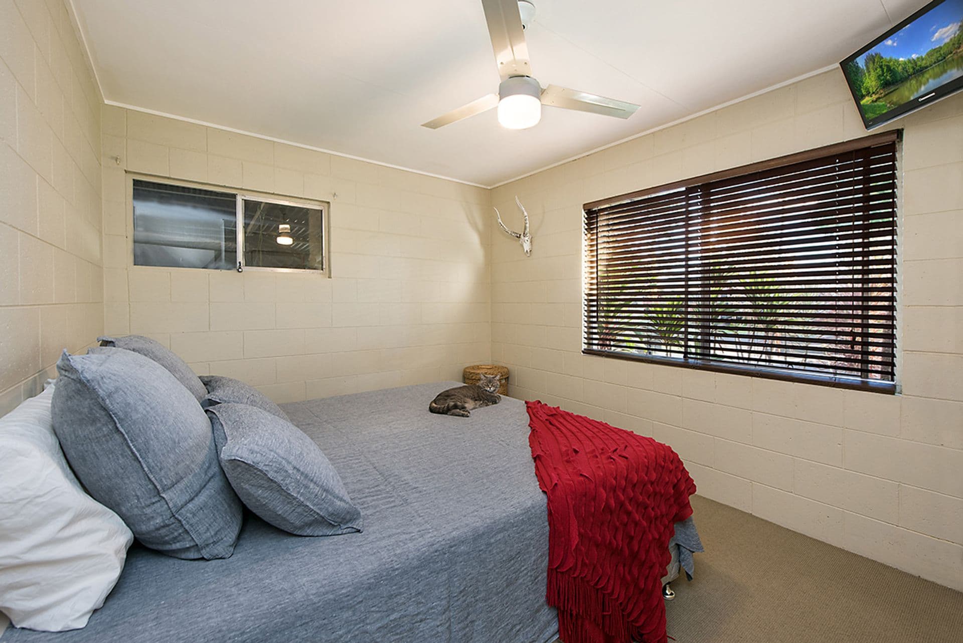 3 Glasshouse View Court, Buderim, QLD, 4556, Buderim - Thumbnail 6