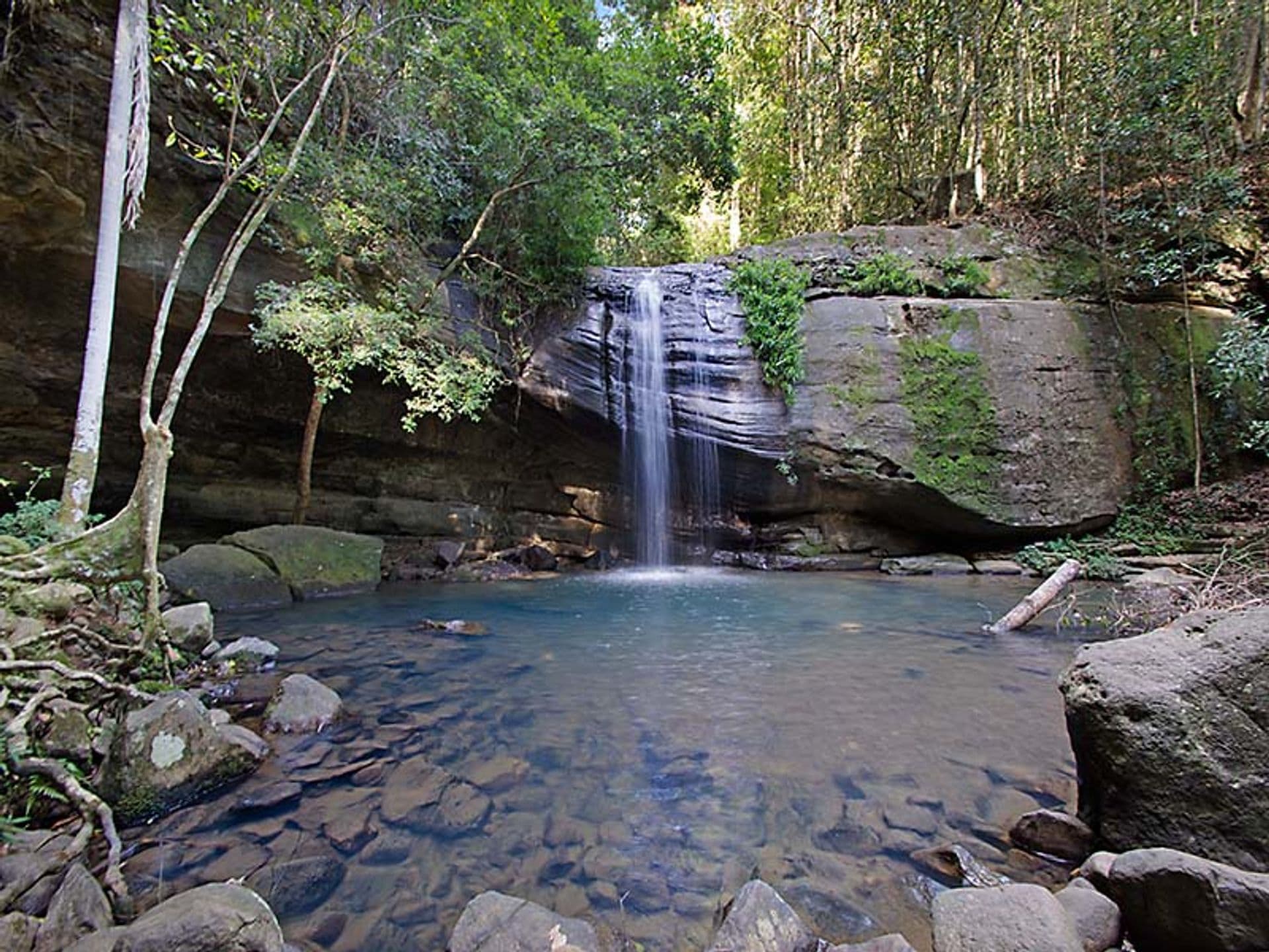 1/8 King Street, Buderim, QLD, 4556, Buderim - Thumbnail 8