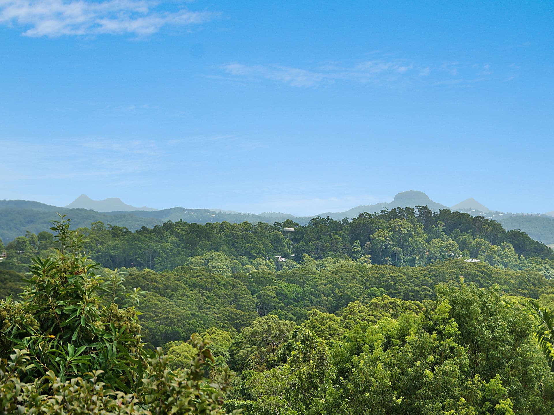 21 Parle Crescent, Buderim, QLD, 4556, Buderim - Thumbnail 3