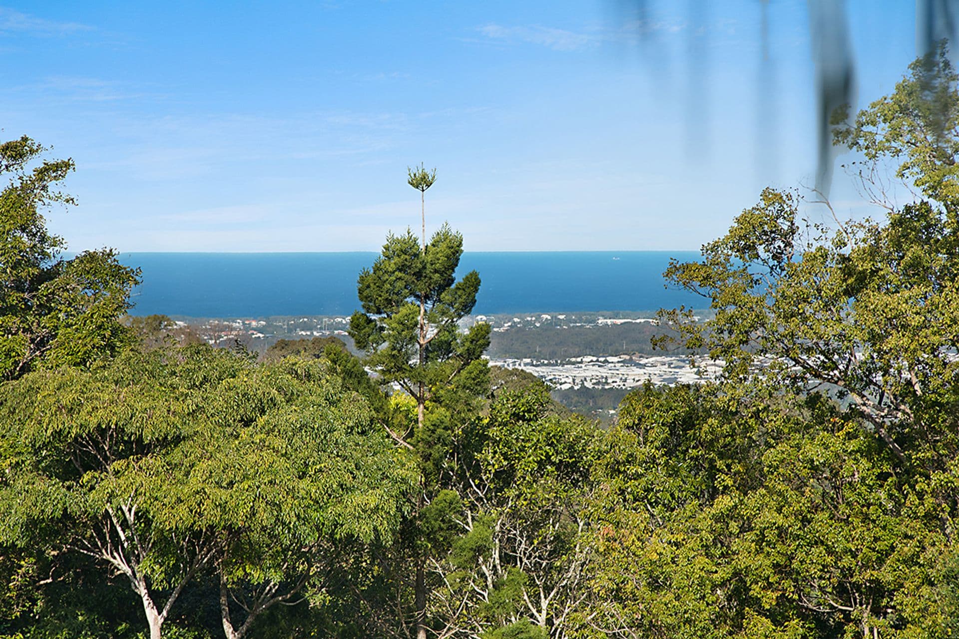 2/20 King Street, Buderim, QLD, 4556, Buderim - Thumbnail 4