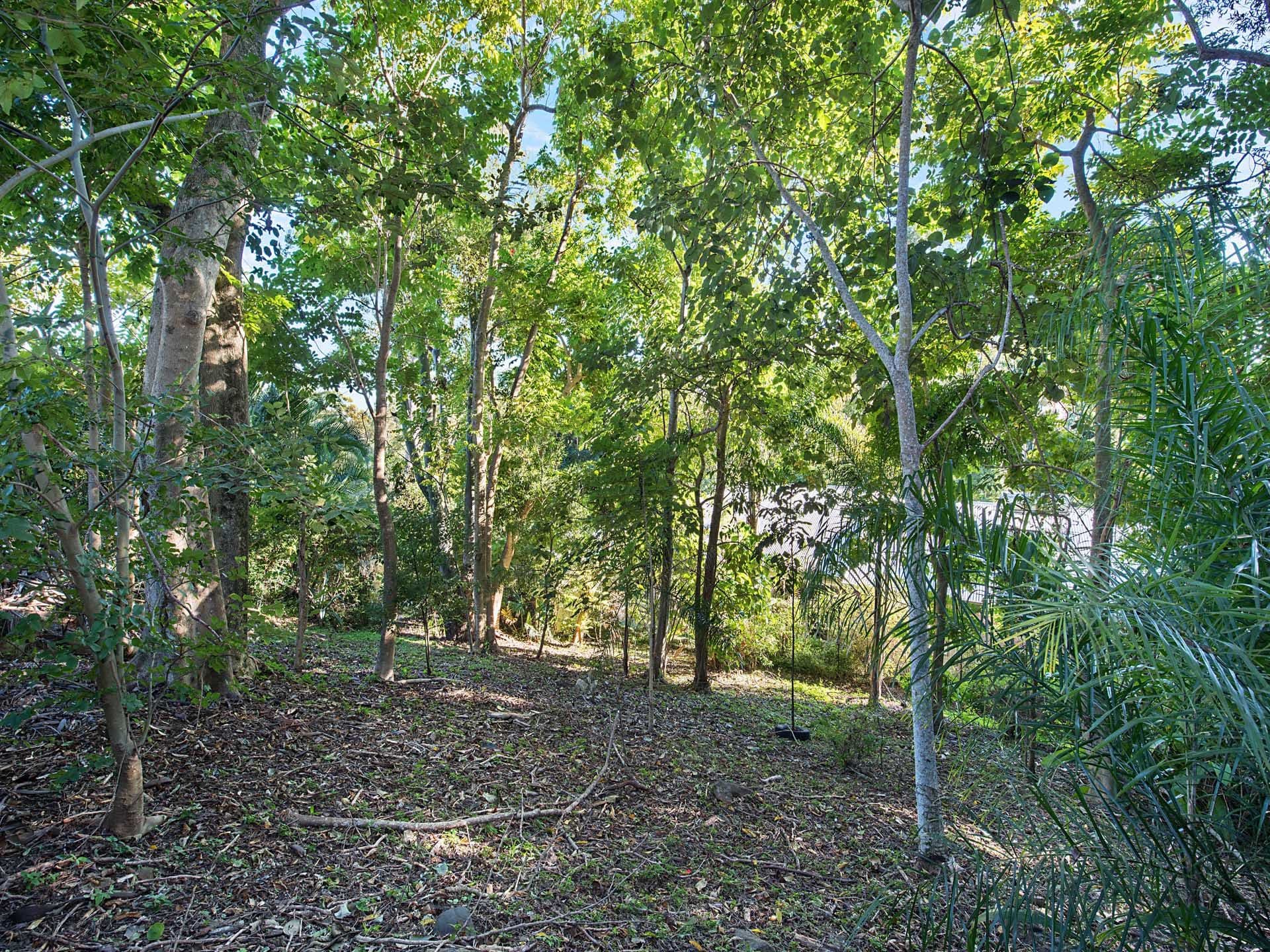23 Danielle Place, Buderim, QLD, 4556, Buderim - Thumbnail 8