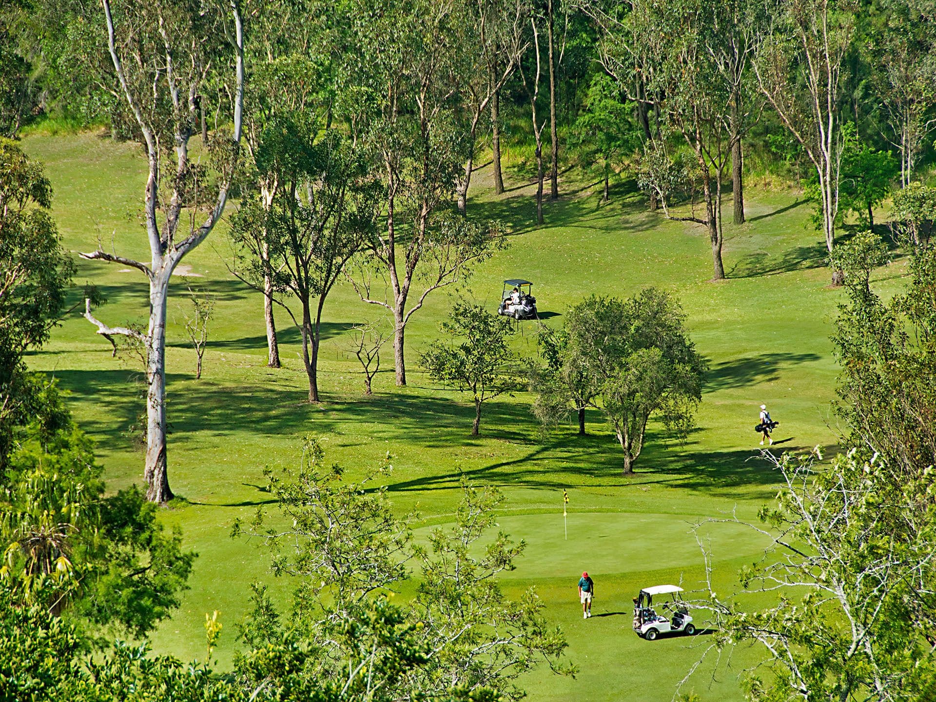 1/8 King Street, Buderim, QLD, 4556, Nambour - Thumbnail 3