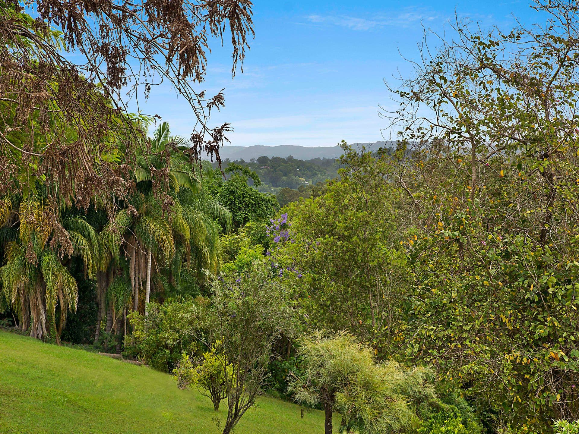 1/8 King Street, Buderim, QLD, 4556, Bli Bli - Thumbnail 5