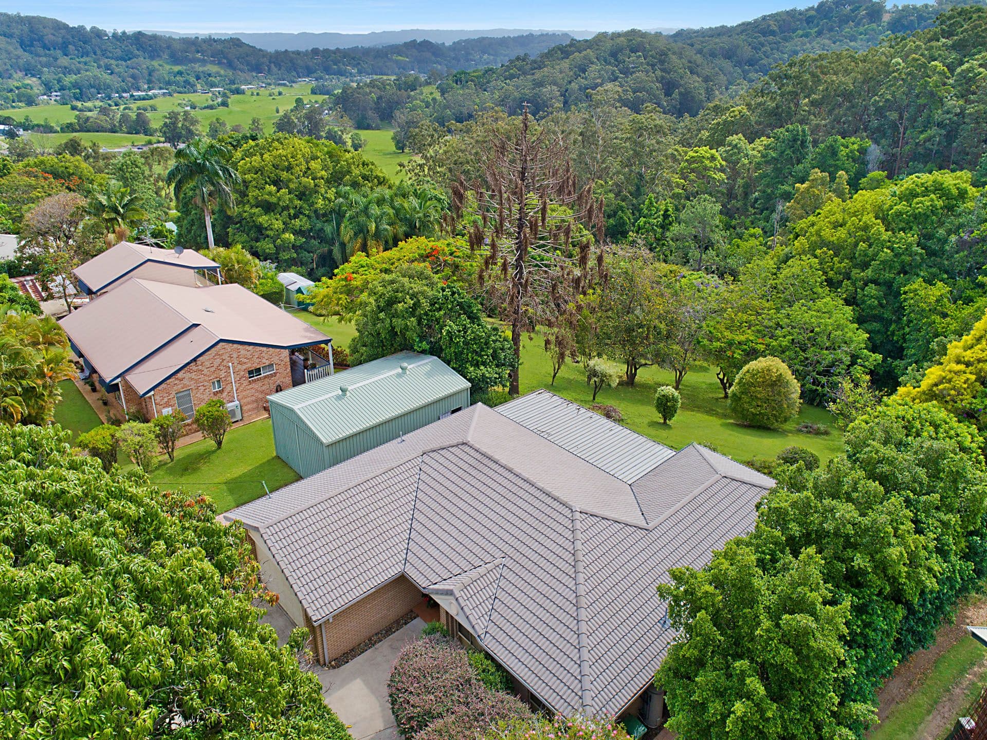 1/8 King Street, Buderim, QLD, 4556, Bli Bli - Thumbnail 7