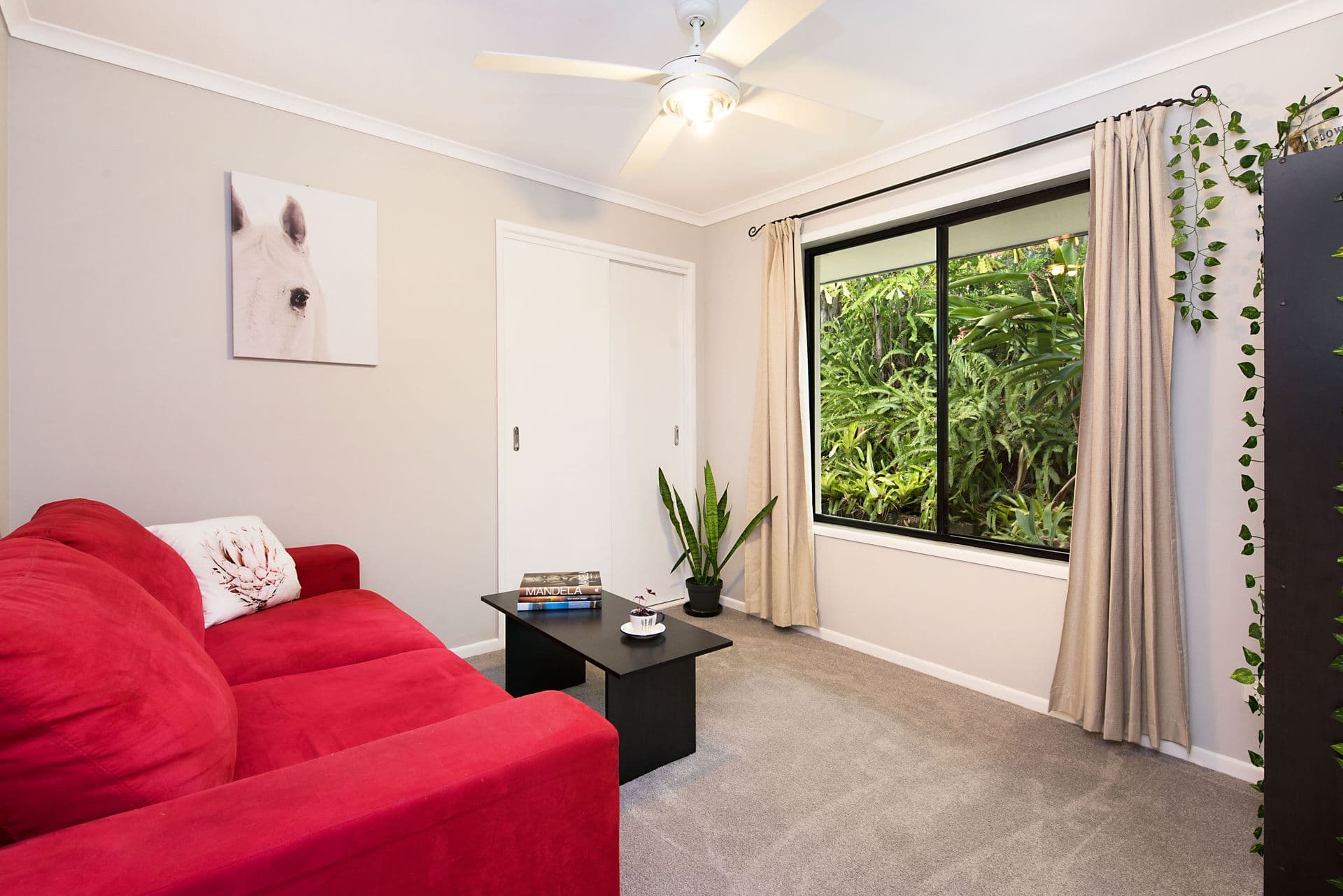 3 Earls Court, Buderim, QLD, 4556, Buderim - Thumbnail 8