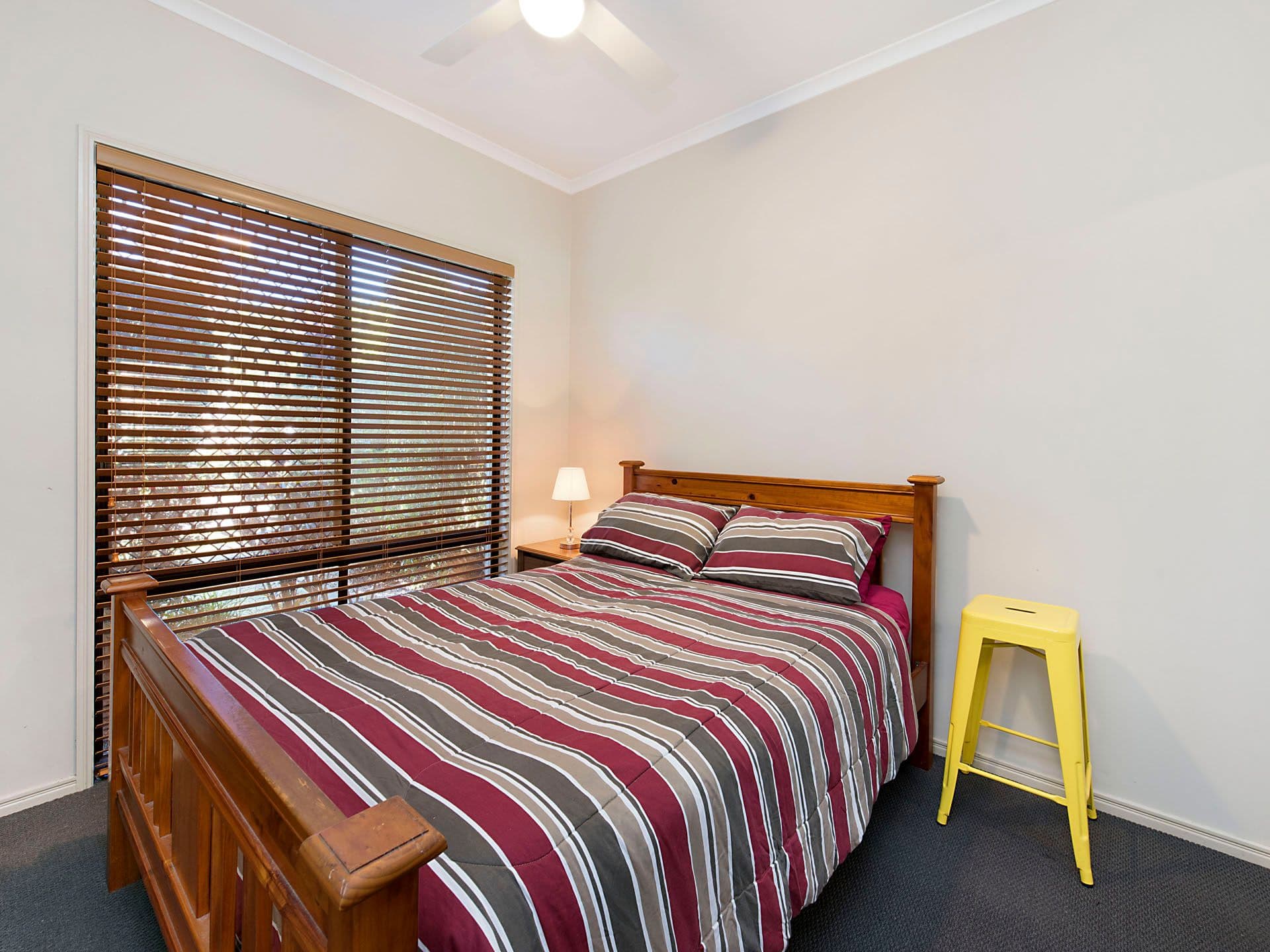 177  University Way, Sippy Downs, QLD, 4556, Sippy Downs - Thumbnail 8