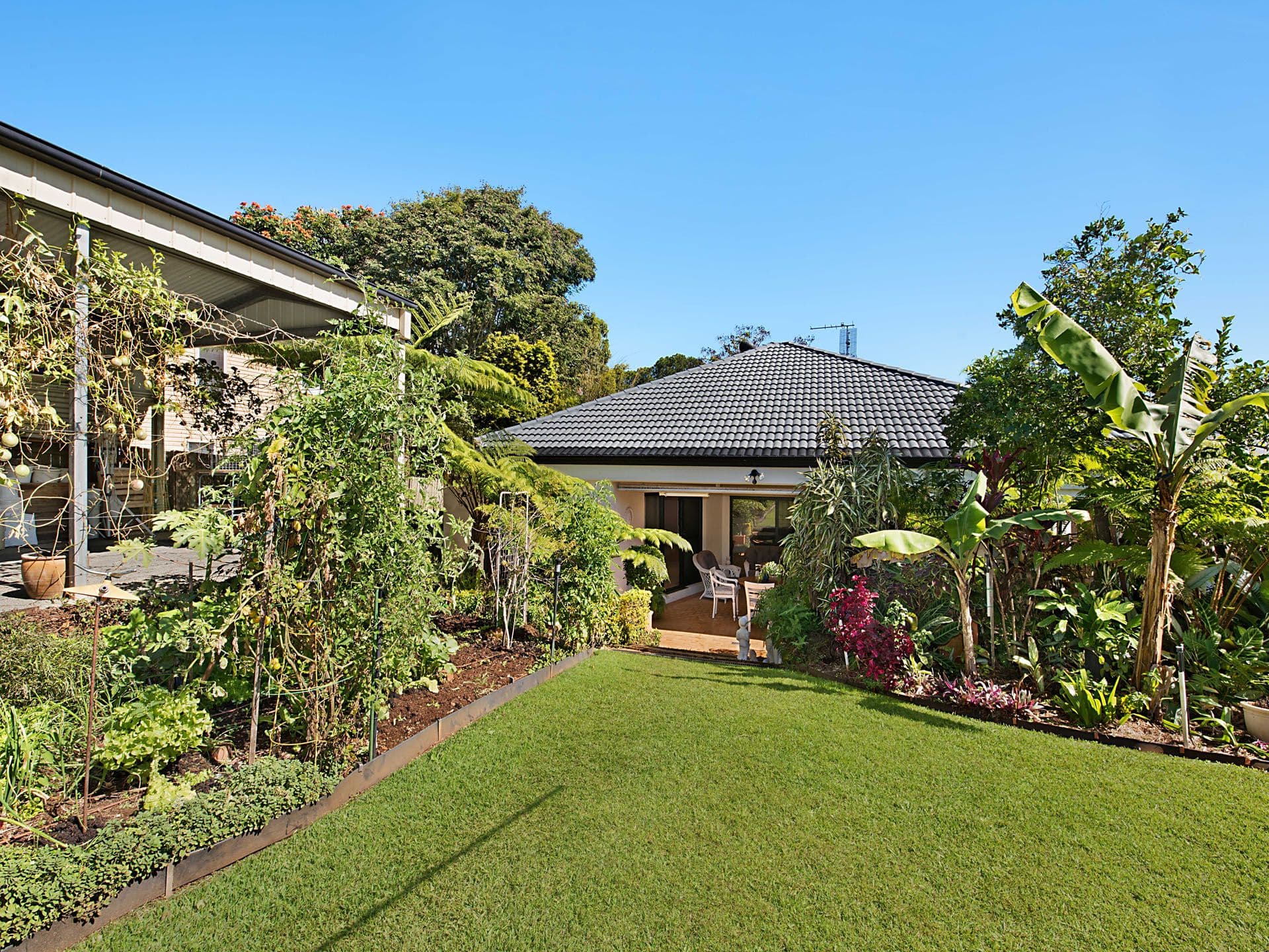 13 Stephen Street, Buderim, QLD, 4556, Buderim - Thumbnail 4