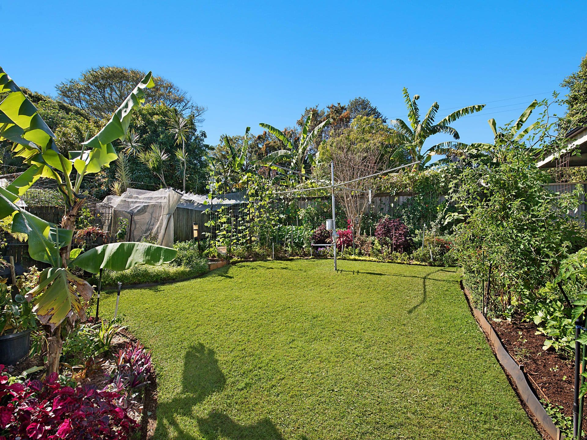 13 Stephen Street, Buderim, QLD, 4556, Buderim - Thumbnail 6