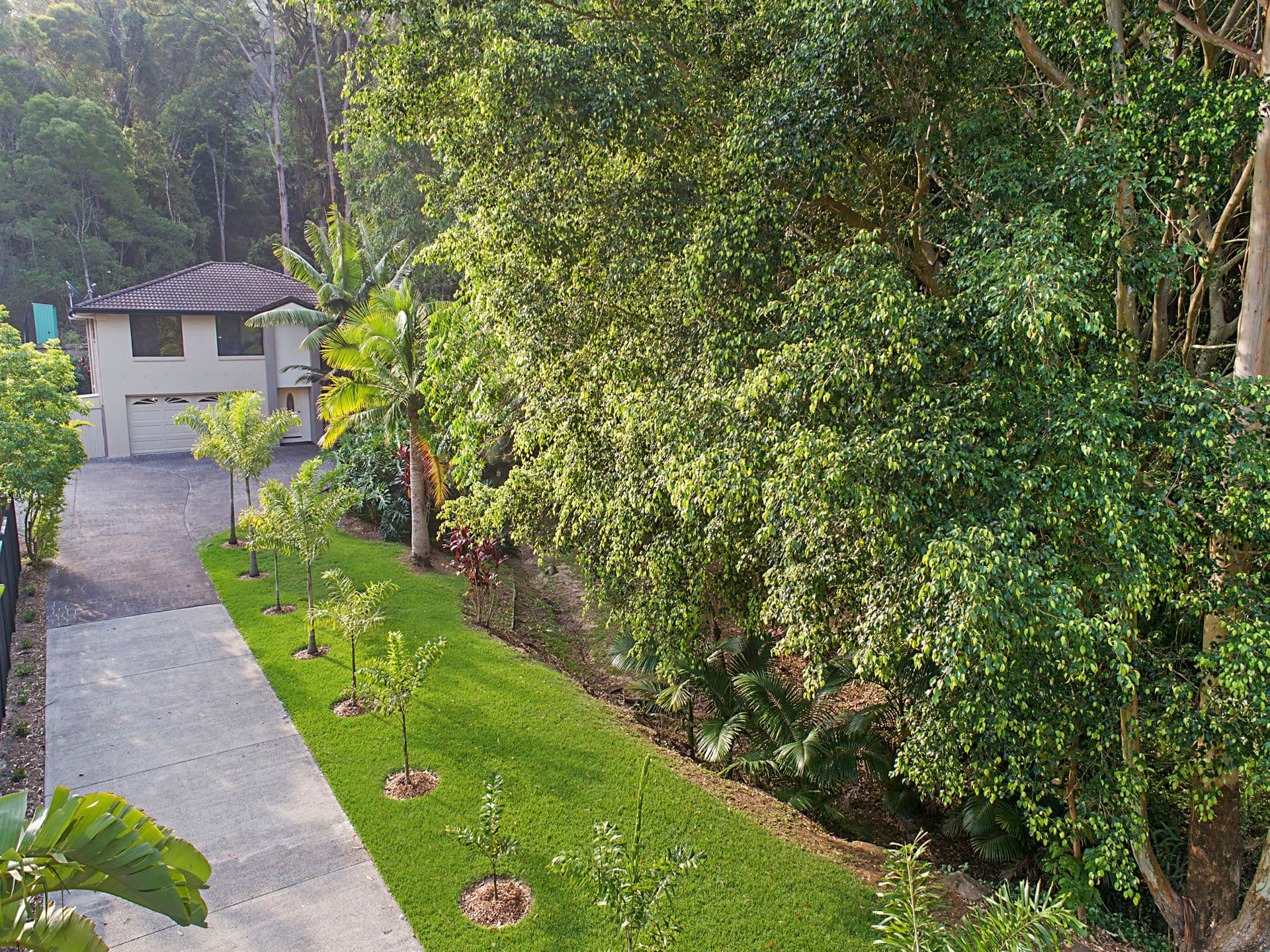 4 Tommys Court, Buderim, QLD, 4556, Buderim - Thumbnail 7