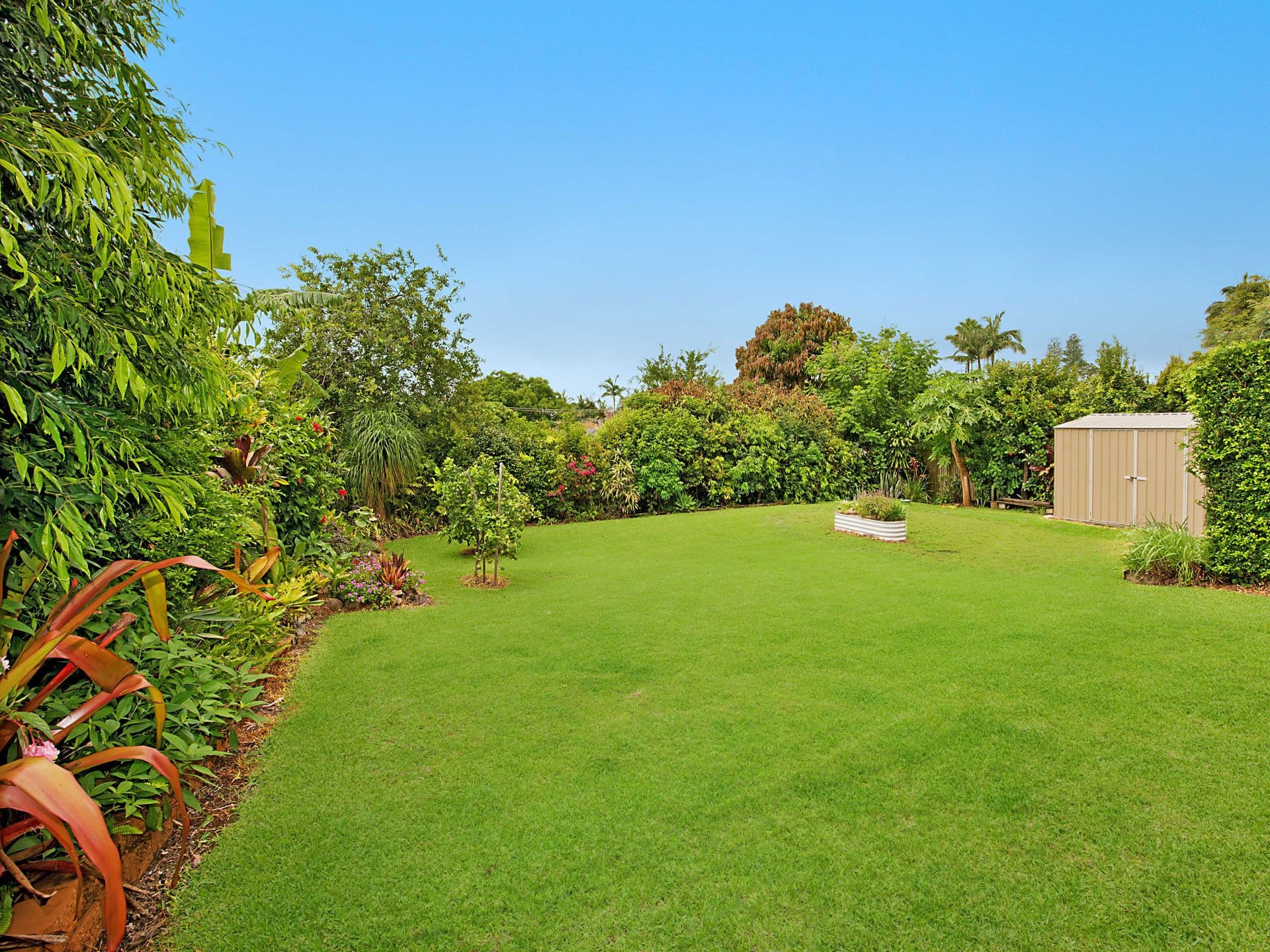 12 Tulip Lane, Buderim, QLD, 4556, Buderim - Thumbnail 5