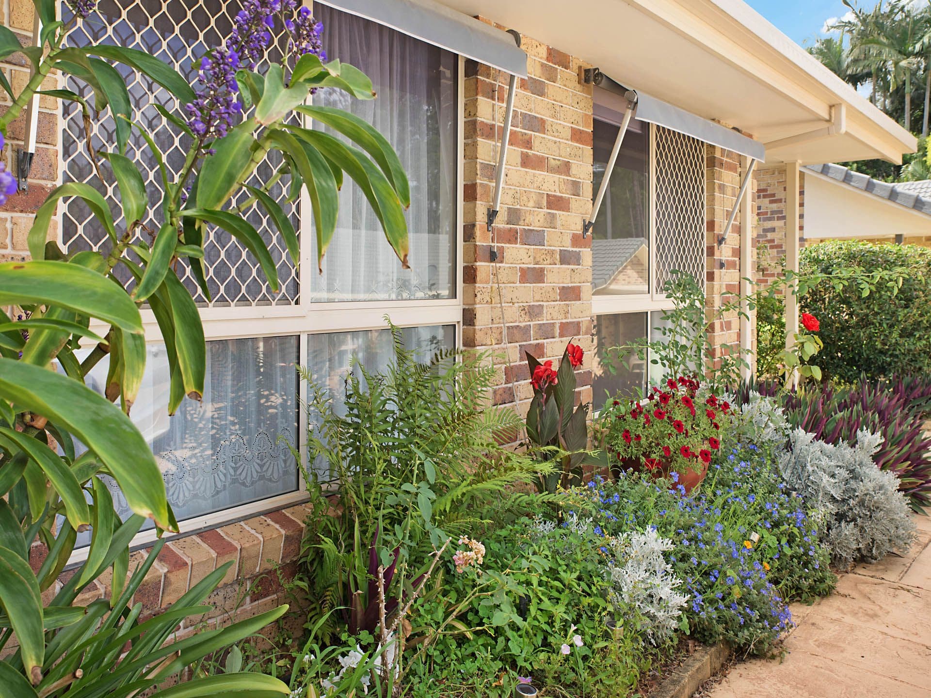 2/23 Clithero Avenue, Buderim, QLD, 4556, Buderim - Thumbnail 3