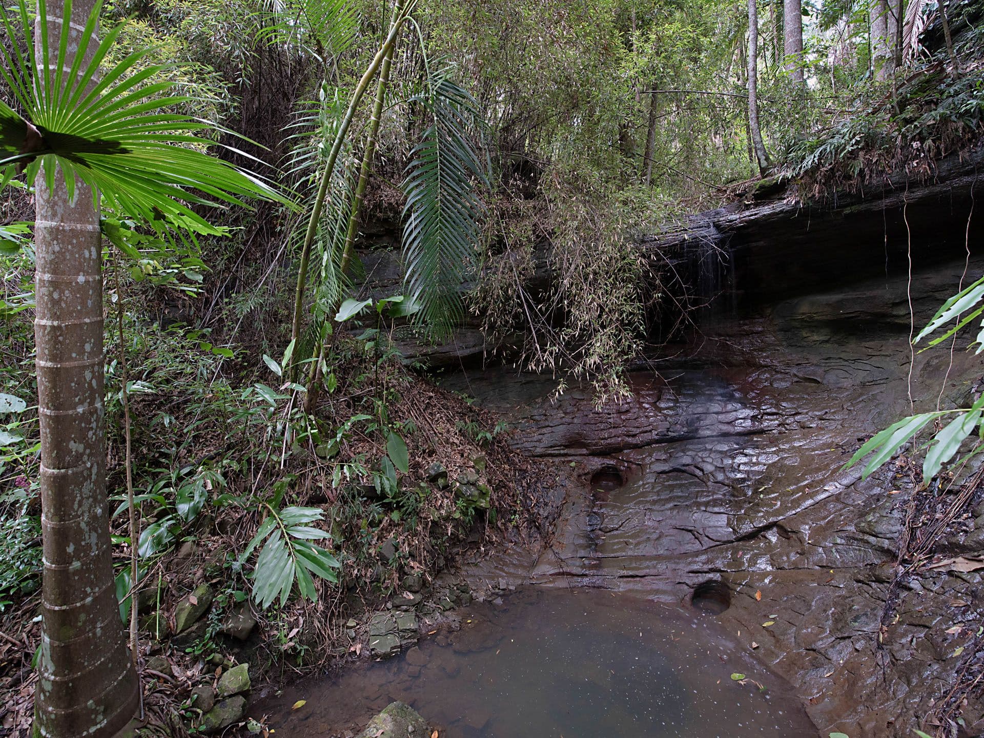 30 Somerset Drive, Buderim, QLD, 4556, Buderim - Thumbnail 2