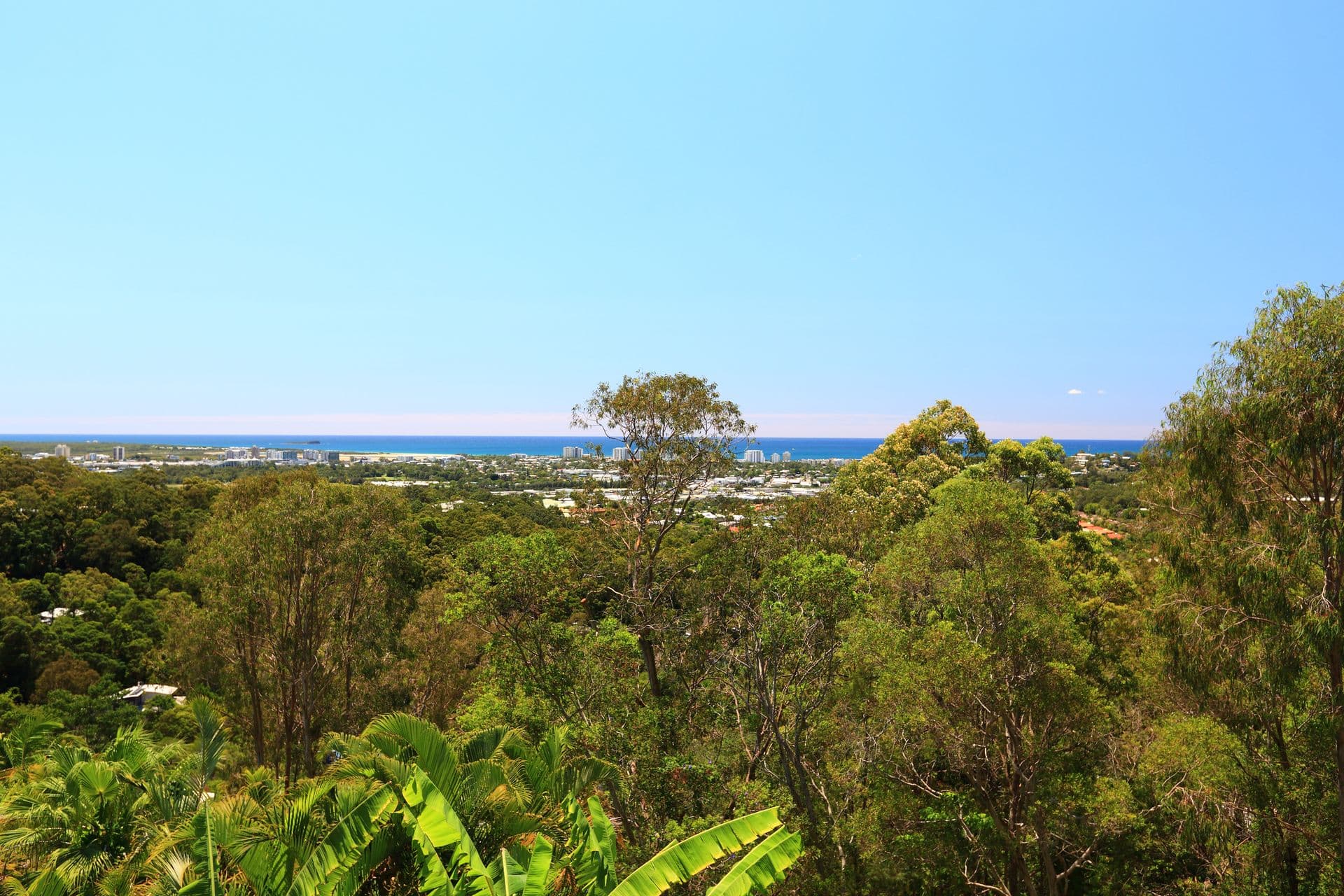 26 Panorama Crescent, Buderim, QLD, 4556, Buderim - Thumbnail 7