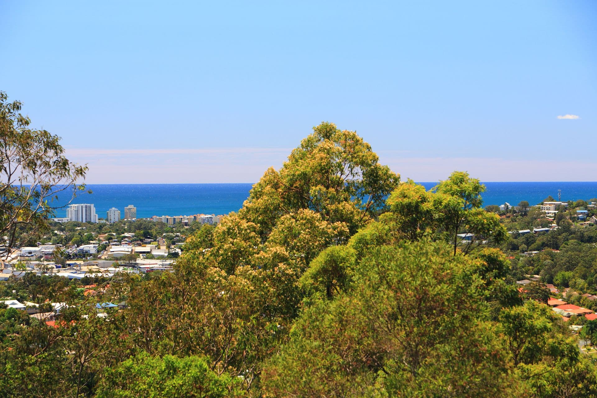 26 Panorama Crescent, Buderim, QLD, 4556, Buderim - Thumbnail 8