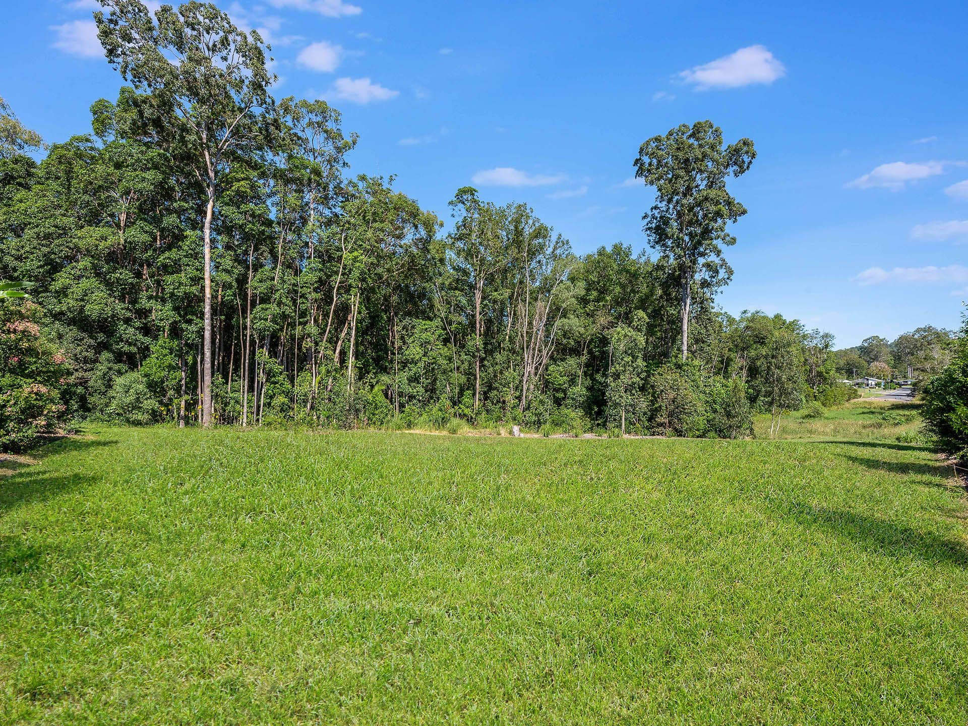 45 Rainforest Sanctuary Drive, Buderim, QLD, 4556, Buderim - Thumbnail 3