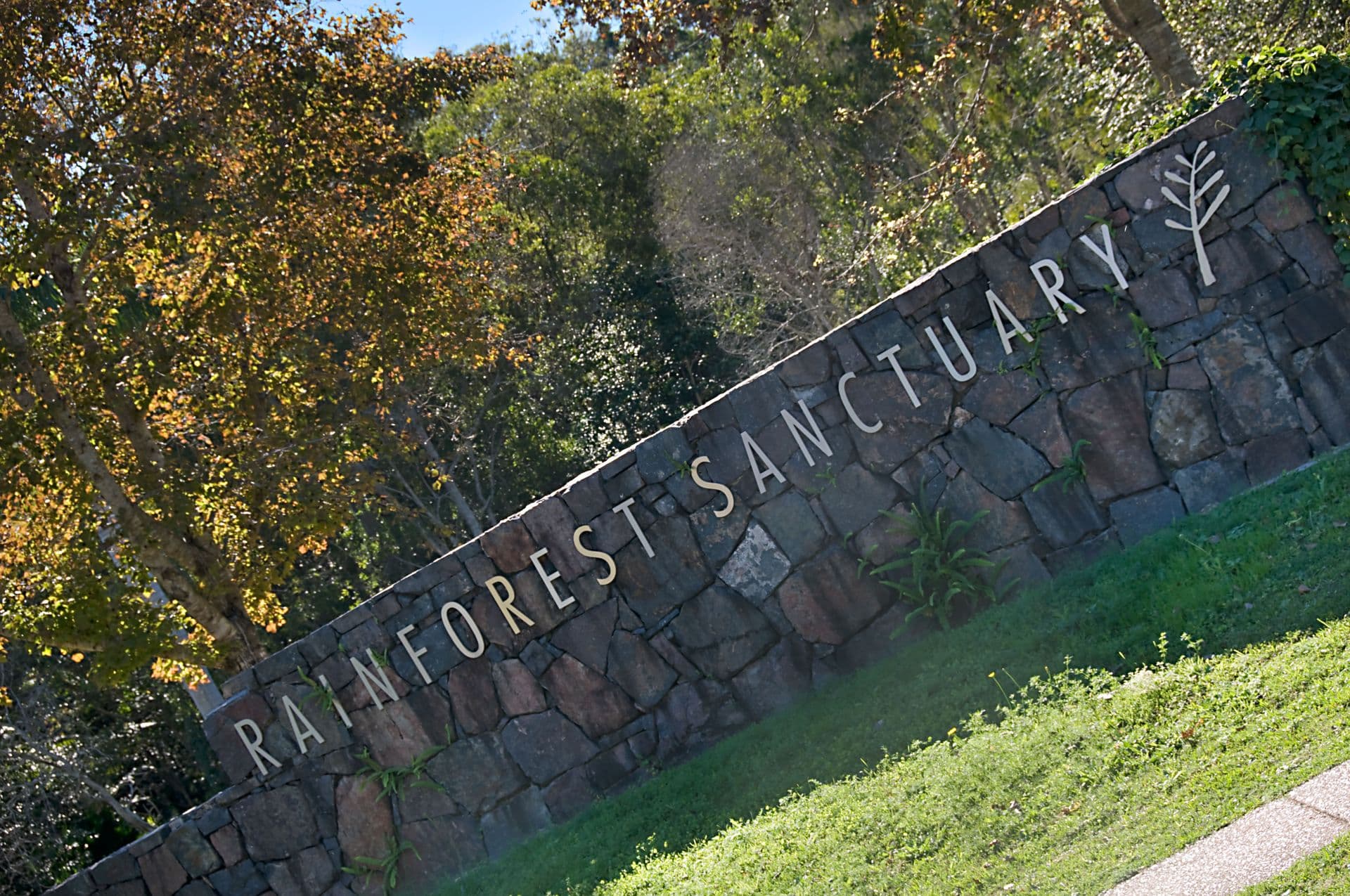 45 Rainforest Sanctuary Drive, Buderim, QLD, 4556, Buderim - Thumbnail 2