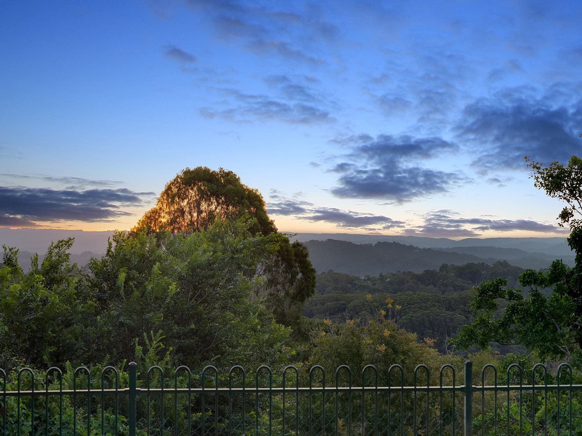 1/8 King Street, Buderim, QLD, 4556, Buderim - Thumbnail 3