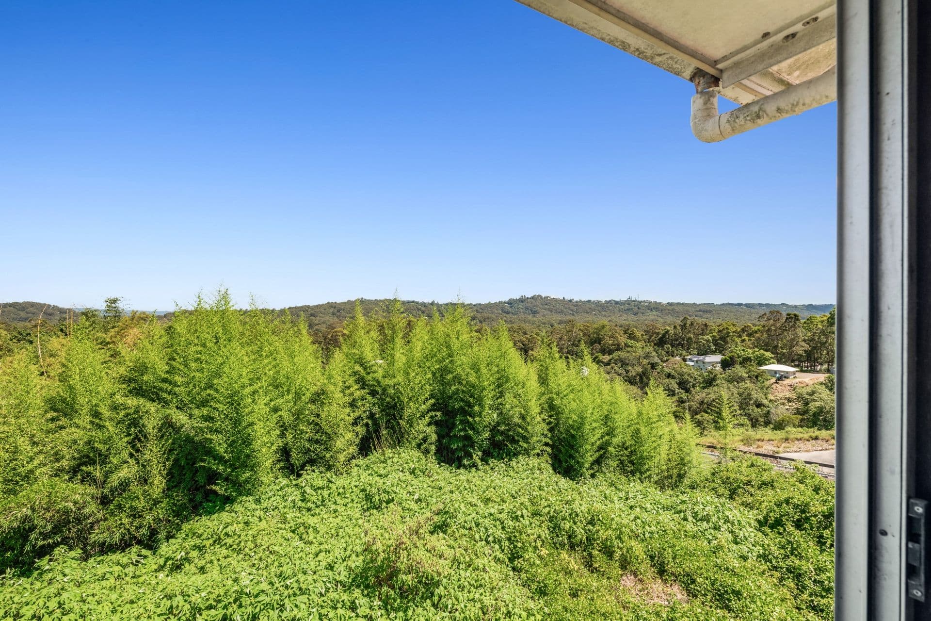 541 Wilson Road, Tanawha, QLD, 4556, Tanawha - Thumbnail 3