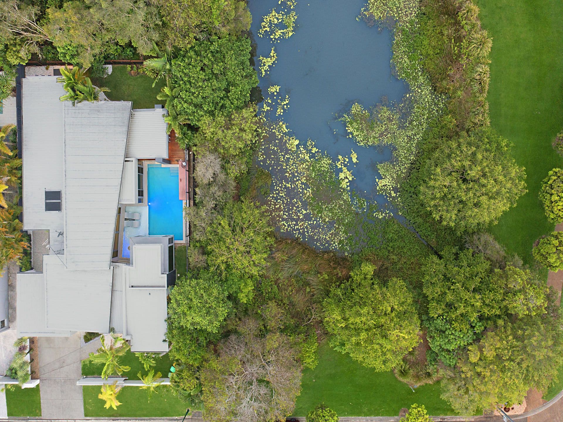 1/8 King Street, Buderim, QLD, 4556, Buderim - Thumbnail 3