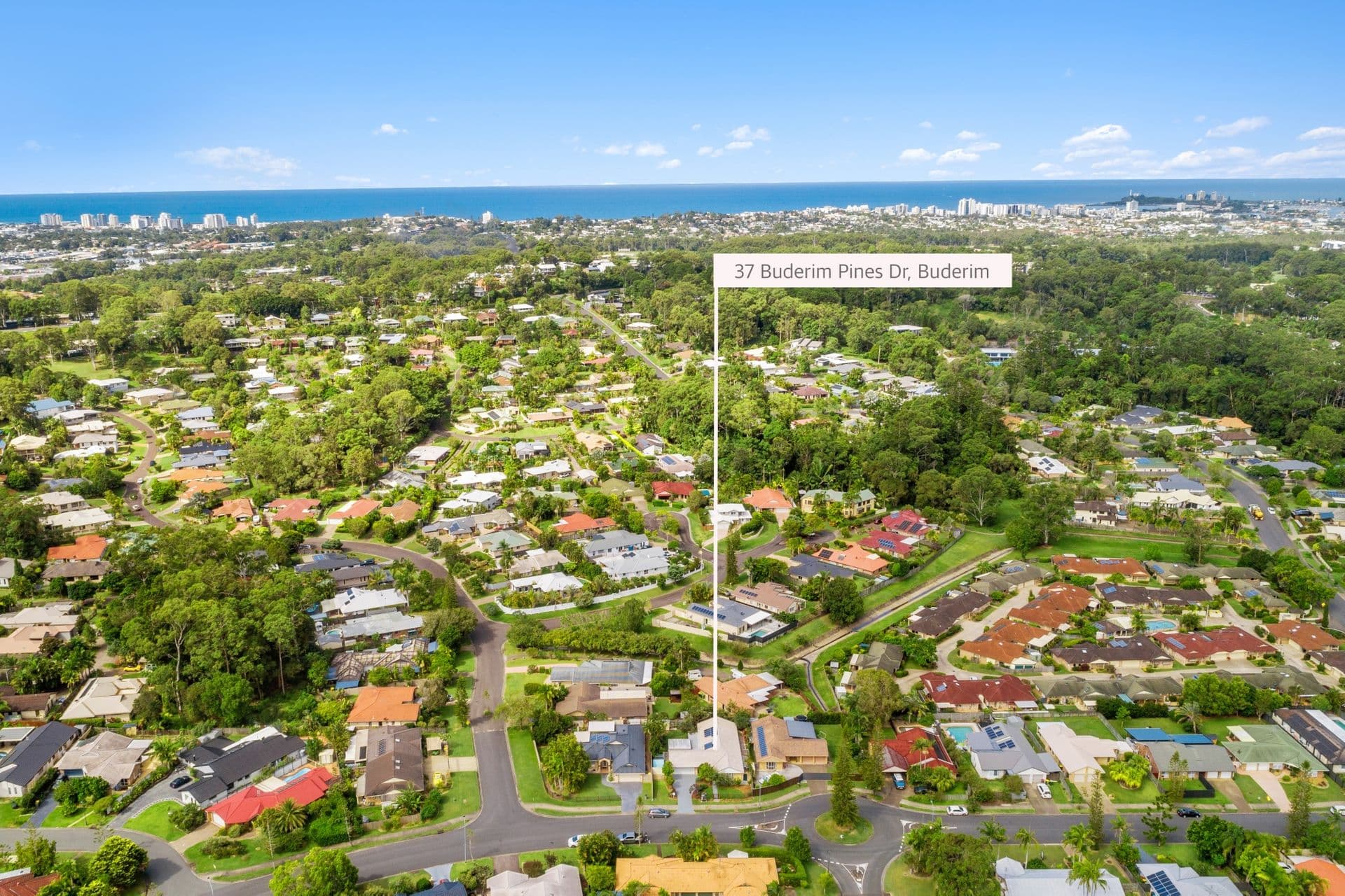 37 Buderim Pines Drive, Buderim, QLD, 4556, Buderim - Thumbnail 5