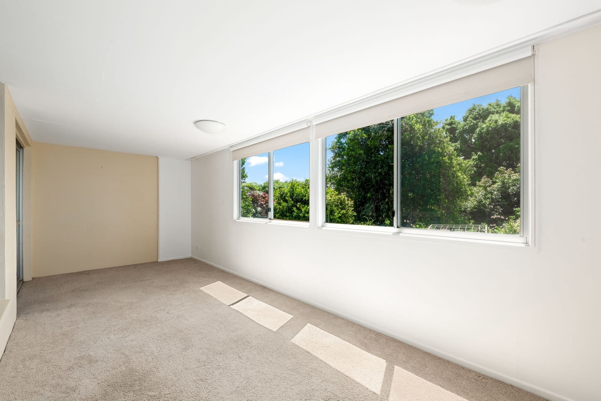 27 King Street, Buderim, QLD, 4556, Buderim - Thumbnail 6