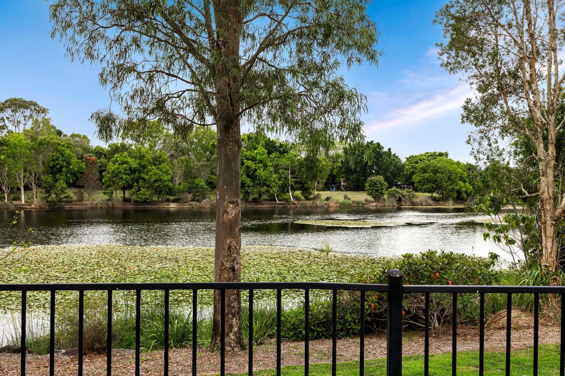 1/8 King Street, Buderim, QLD, 4556, Sippy Downs - Thumbnail 7