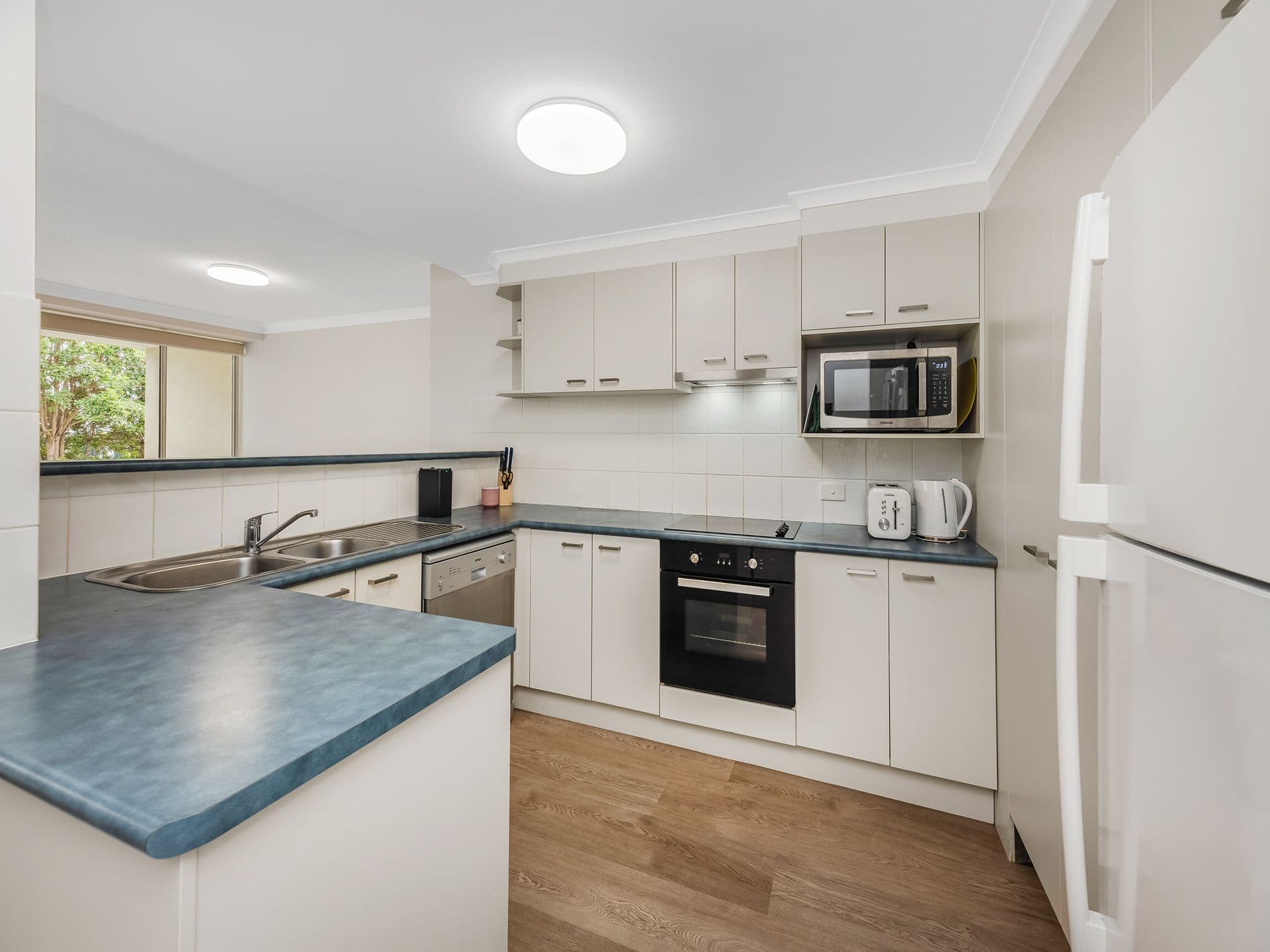5/2 Box Street, Buderim, QLD, 4556, Buderim - Thumbnail 4