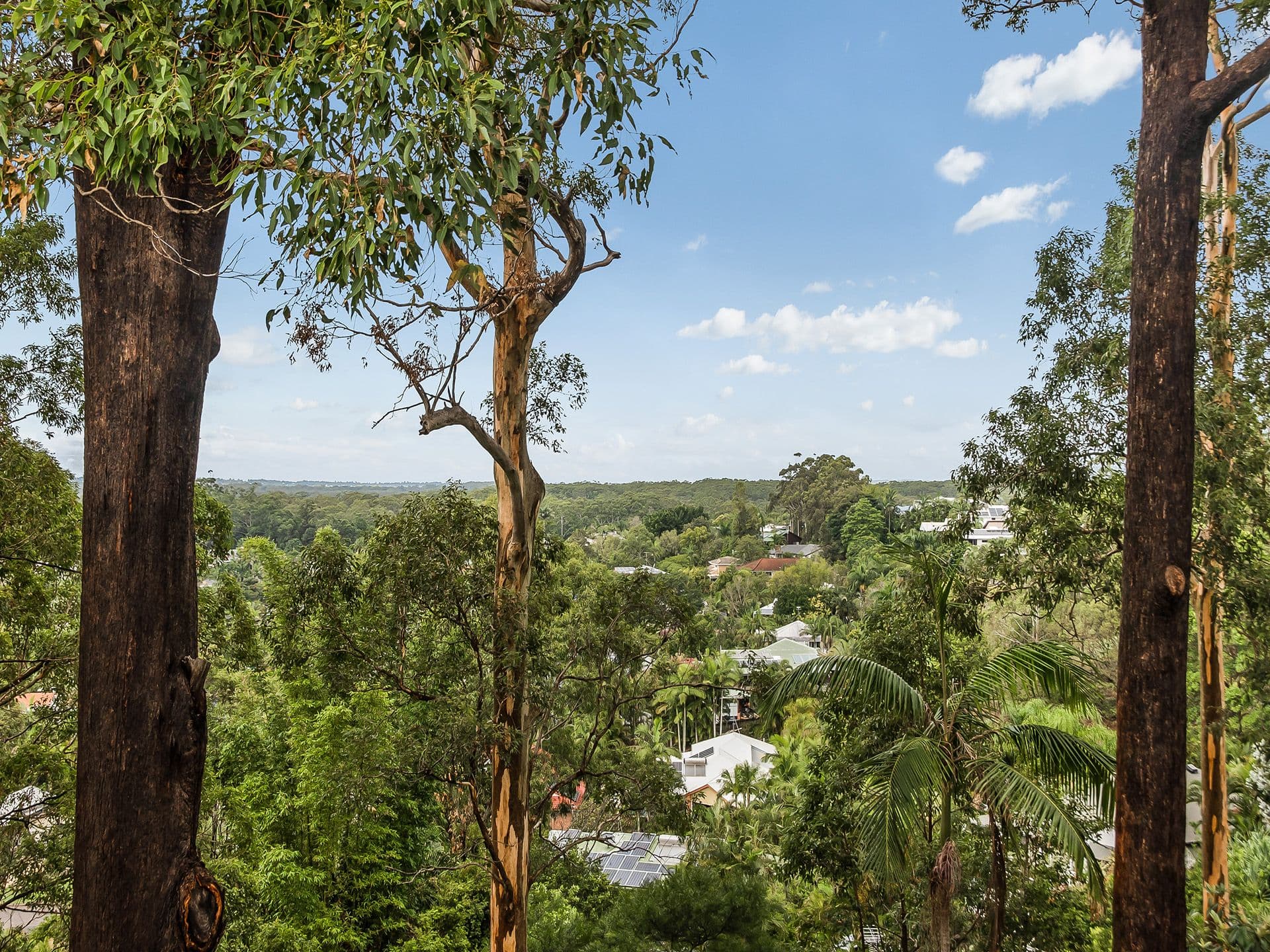 1/8 King Street, Buderim, QLD, 4556, Buderim - Thumbnail 8