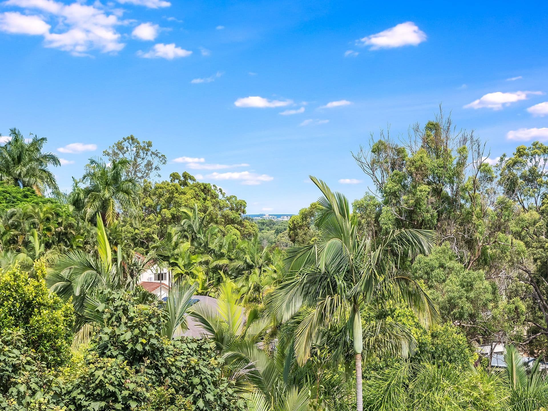 1/8 King Street, Buderim, QLD, 4556, Buderim - Thumbnail 5