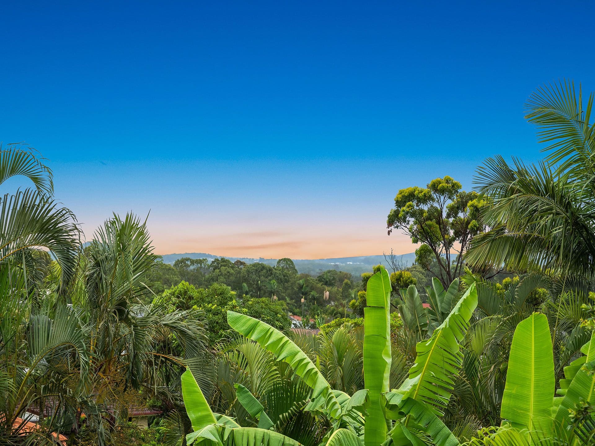 1/8 King Street, Buderim, QLD, 4556, Little Mountain - Thumbnail 5