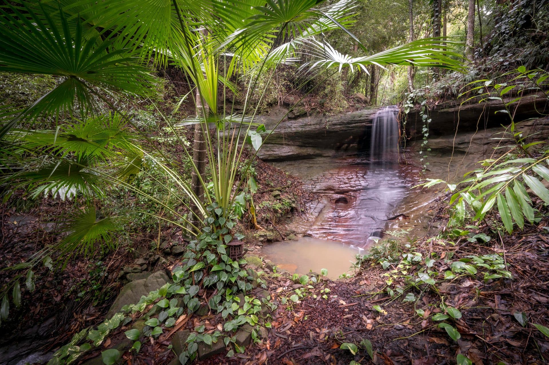 1/8 King Street, Buderim, QLD, 4556, Buderim - Thumbnail 4