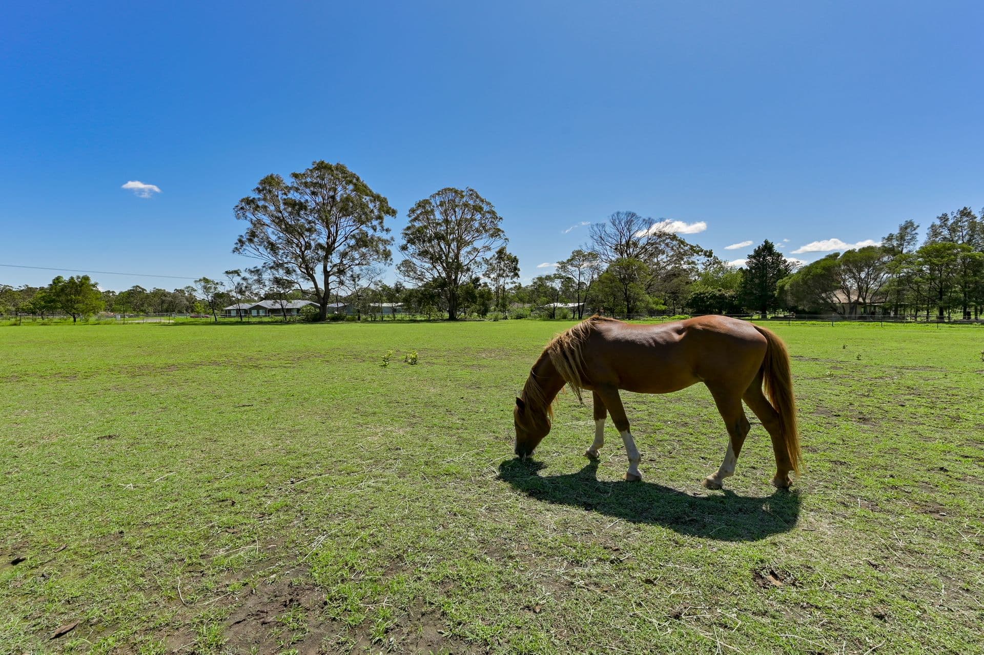 7/72-80 Argyle Street, Picton, NSW, 2571, Bargo - Thumbnail 6