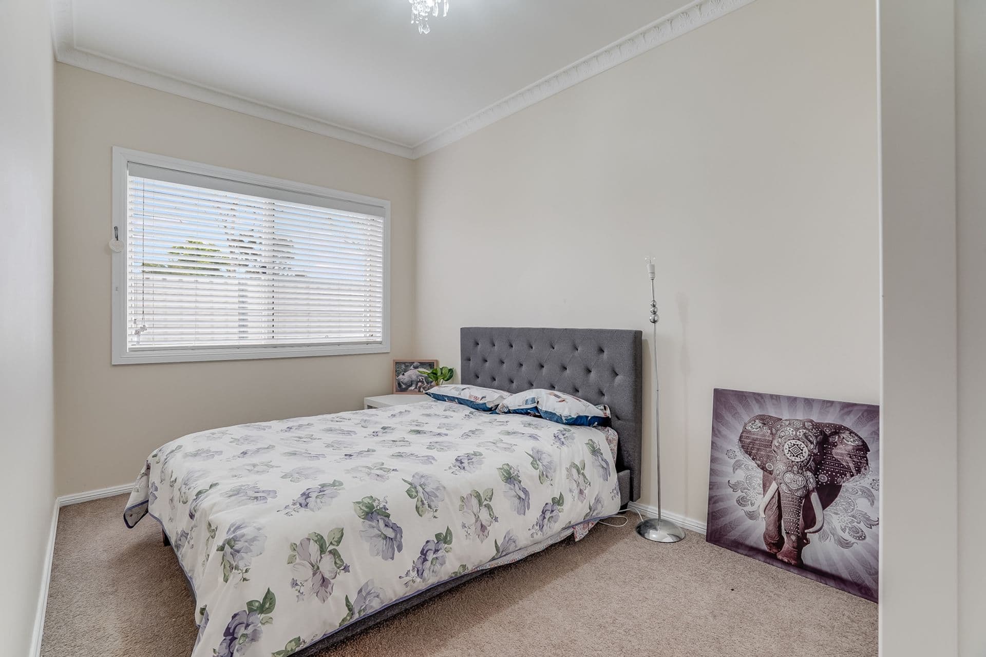 4/17 North Street, Thirlmere, NSW, 2572, Thirlmere - Thumbnail 4