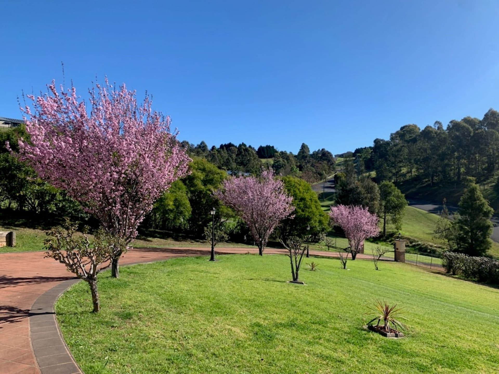 5/150 Abbotsford Road, Picton, NSW, 2571, Picton - Thumbnail 2