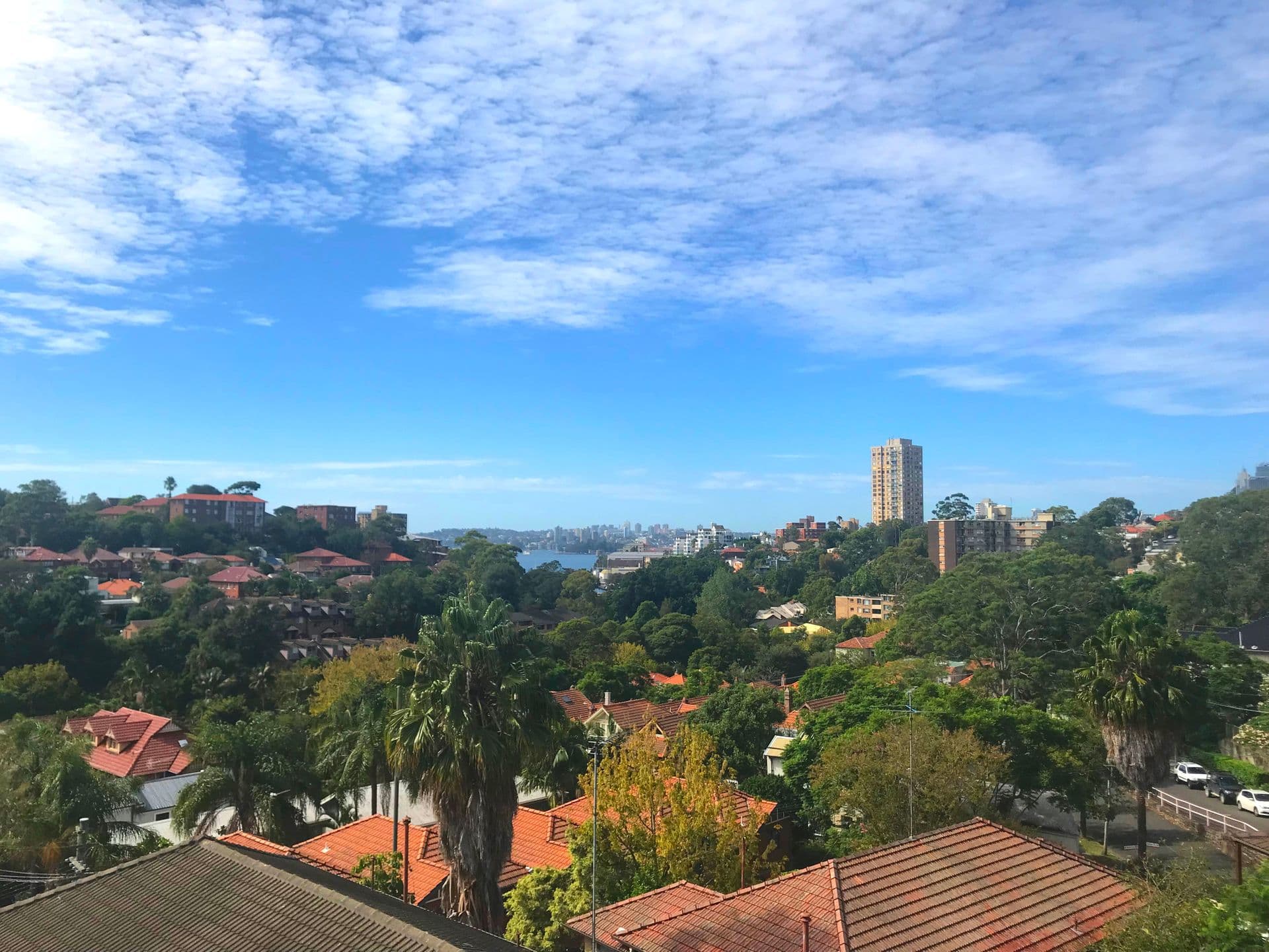 Shop 5, 115 Military Road, Neutral Bay, NSW, 2089, Neutral Bay - Image 1
