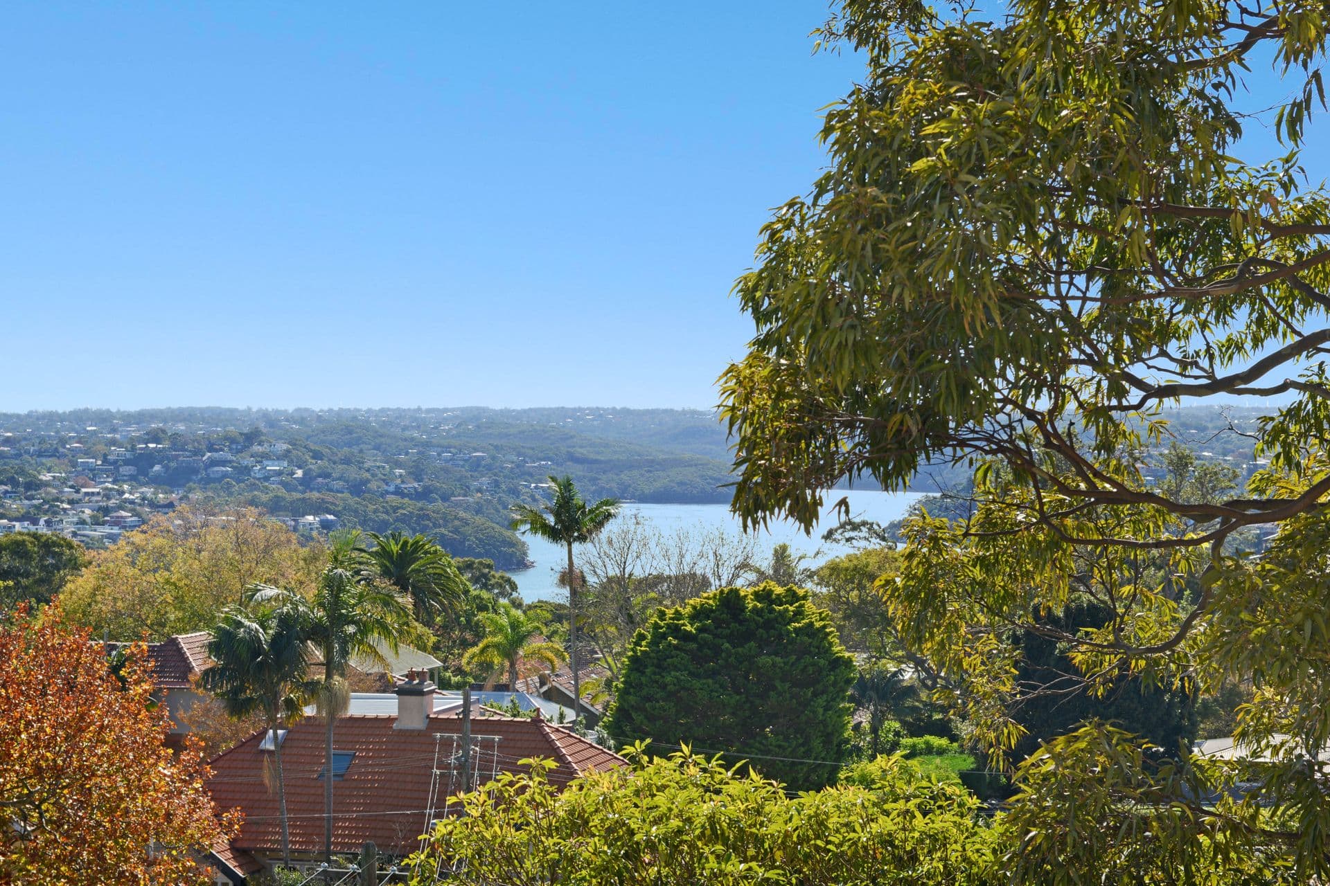 24/560  Military Road, Mosman, NSW, 2088, Mosman - Image 1