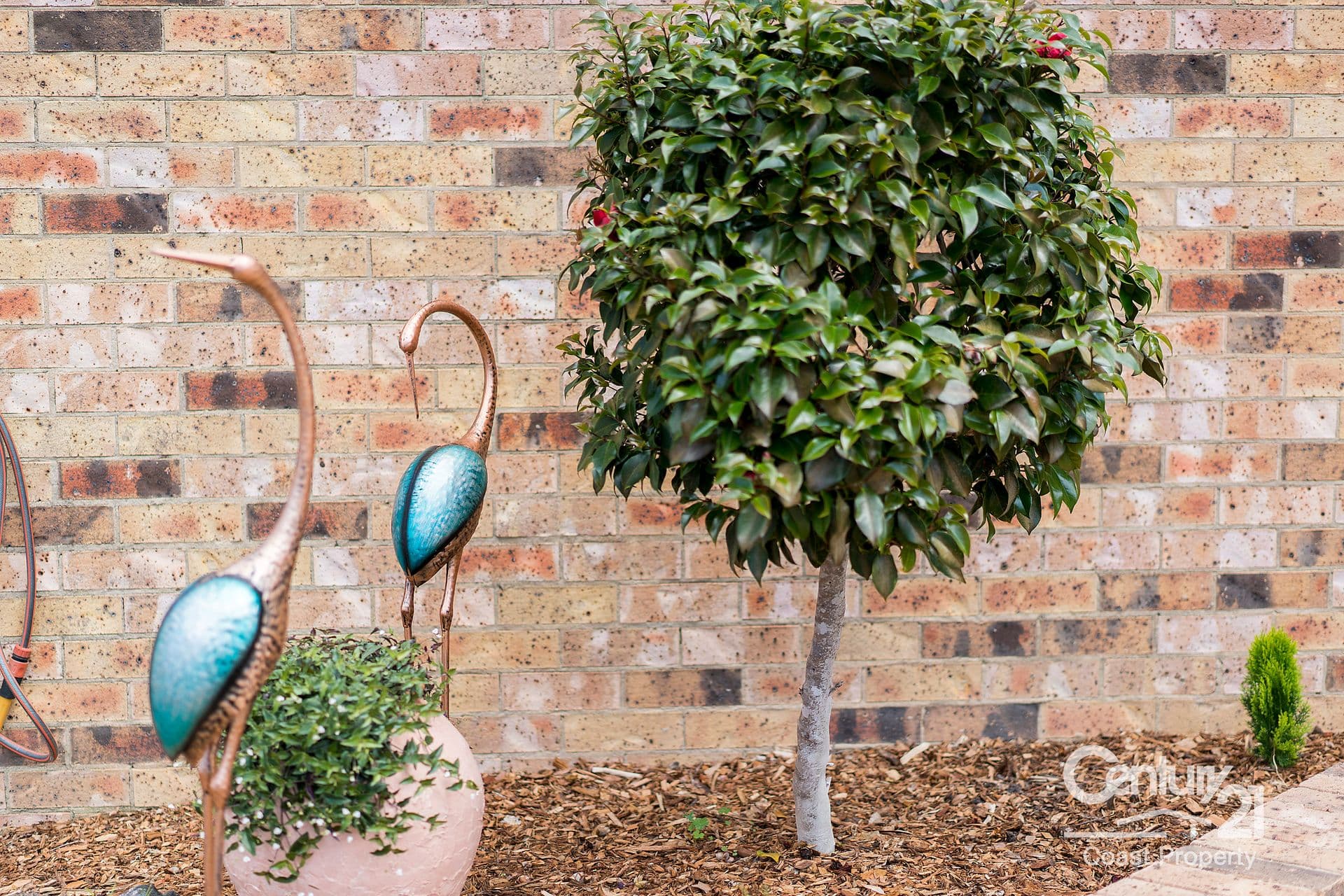 176/15 Lorraine Avenue, Berkeley Vale, NSW, 2261, Berkeley Vale - Thumbnail 8