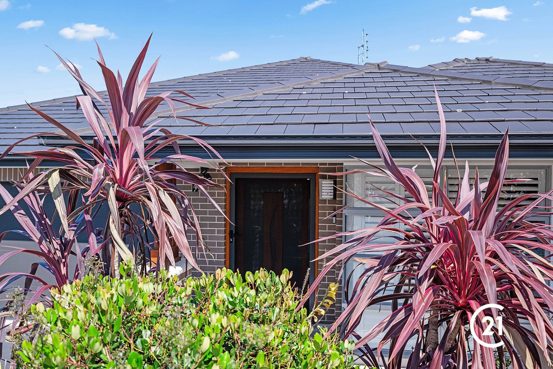 4 Gerbera Close, Hamlyn Terrace, NSW, 2259, Hamlyn Terrace - Thumbnail 2