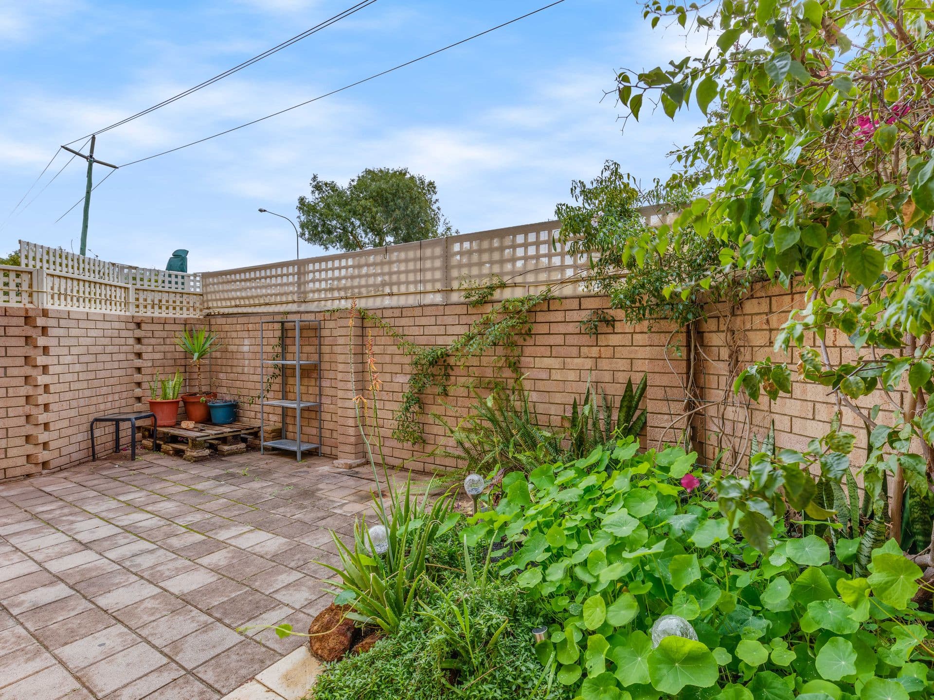 4/615 Hay Street, Jolimont, WA, 6014, Jolimont - Thumbnail 5
