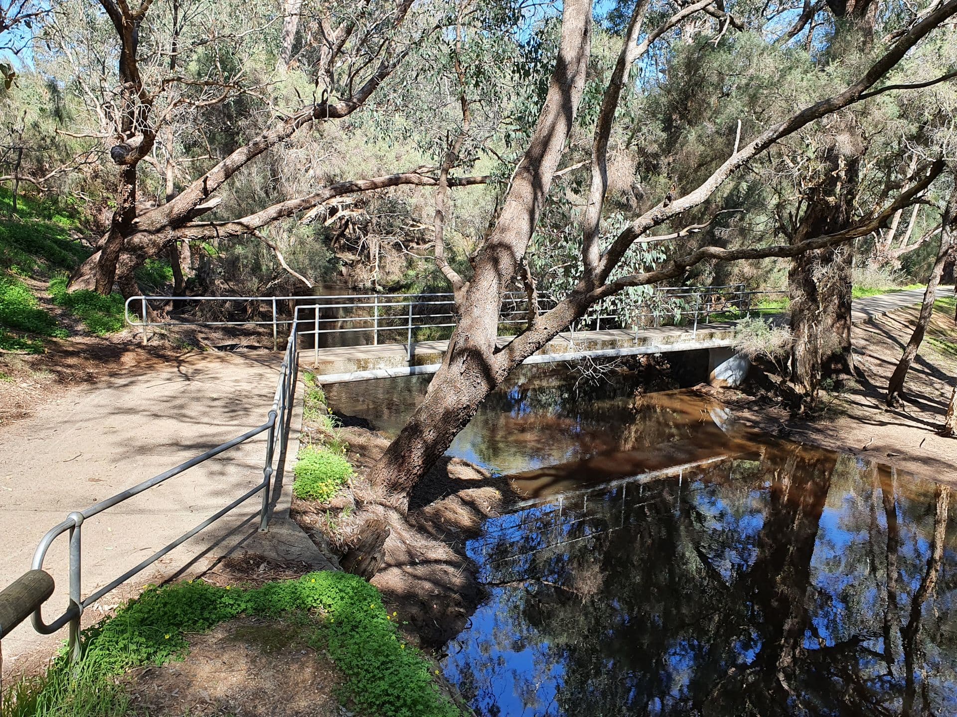 Lot 1/63 Parkside Drive, Thornlie, WA, 6108, Thornlie - Thumbnail 8