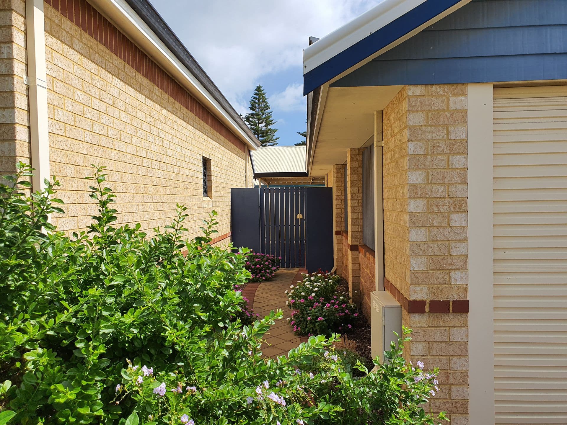 6/24 Royal Palm Drive, Warnbro, WA, 6169, Warnbro - Thumbnail 8