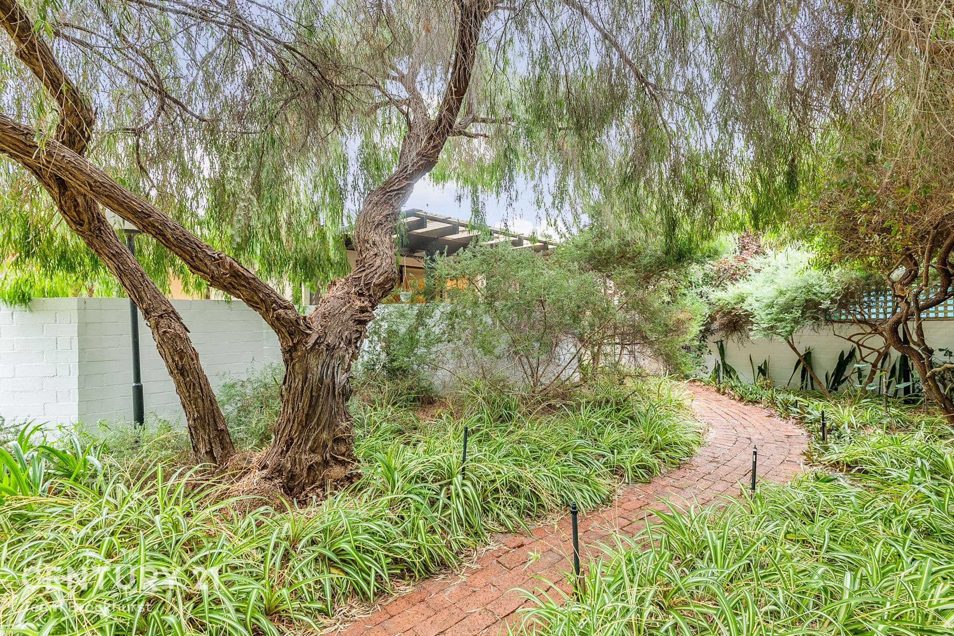 8/30 Mitchell Street, Bentley, WA, 6102, Bentley - Thumbnail 6